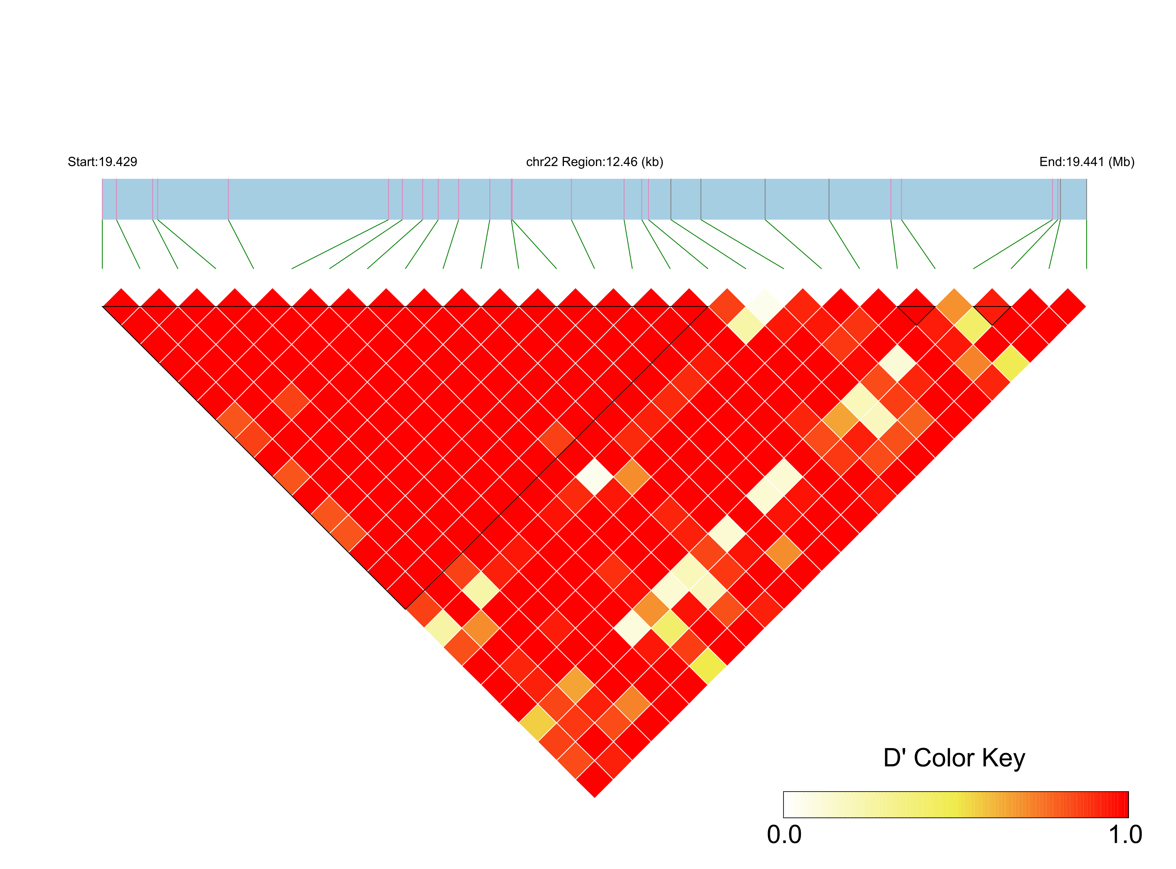 LD