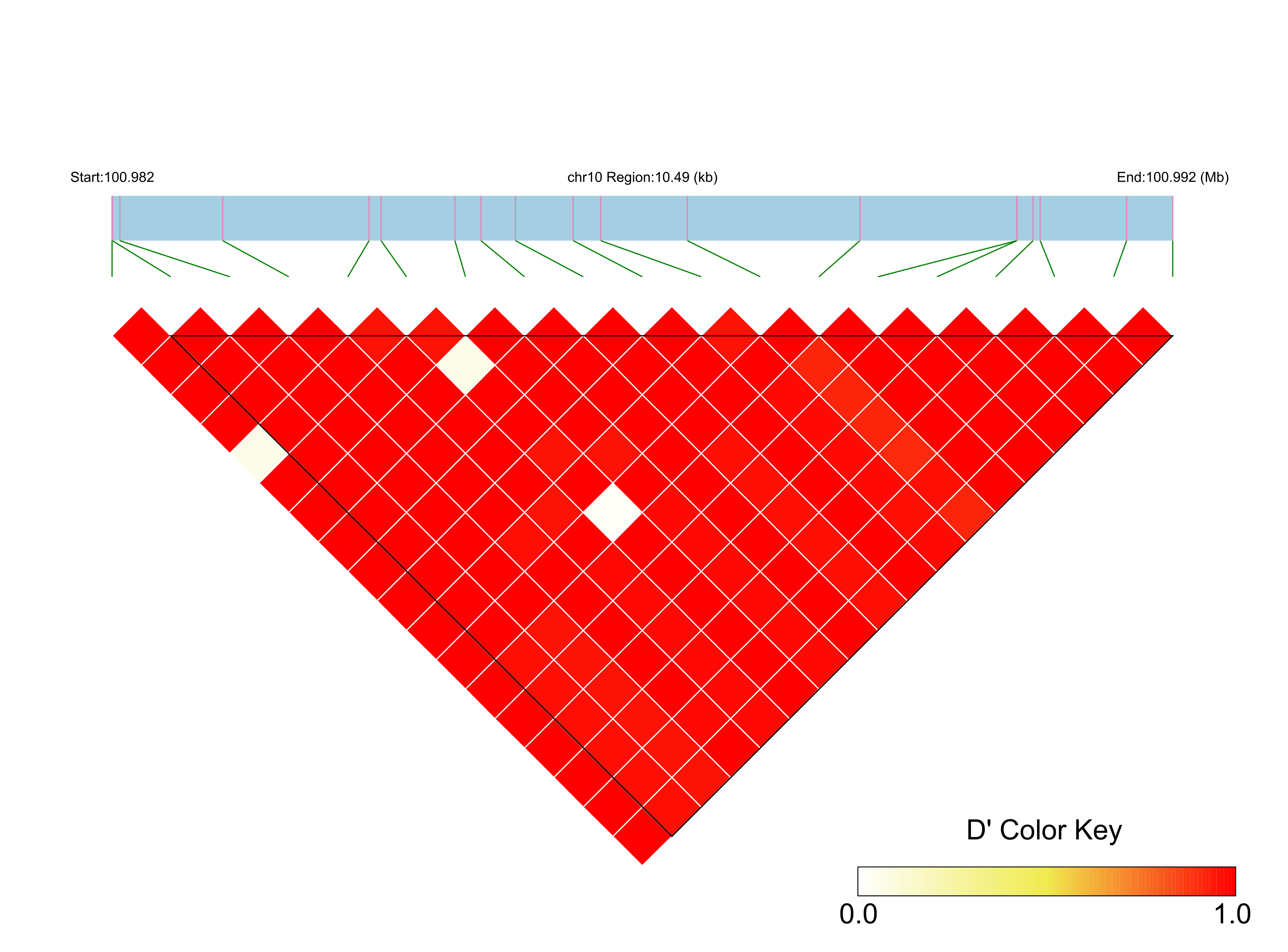 LD