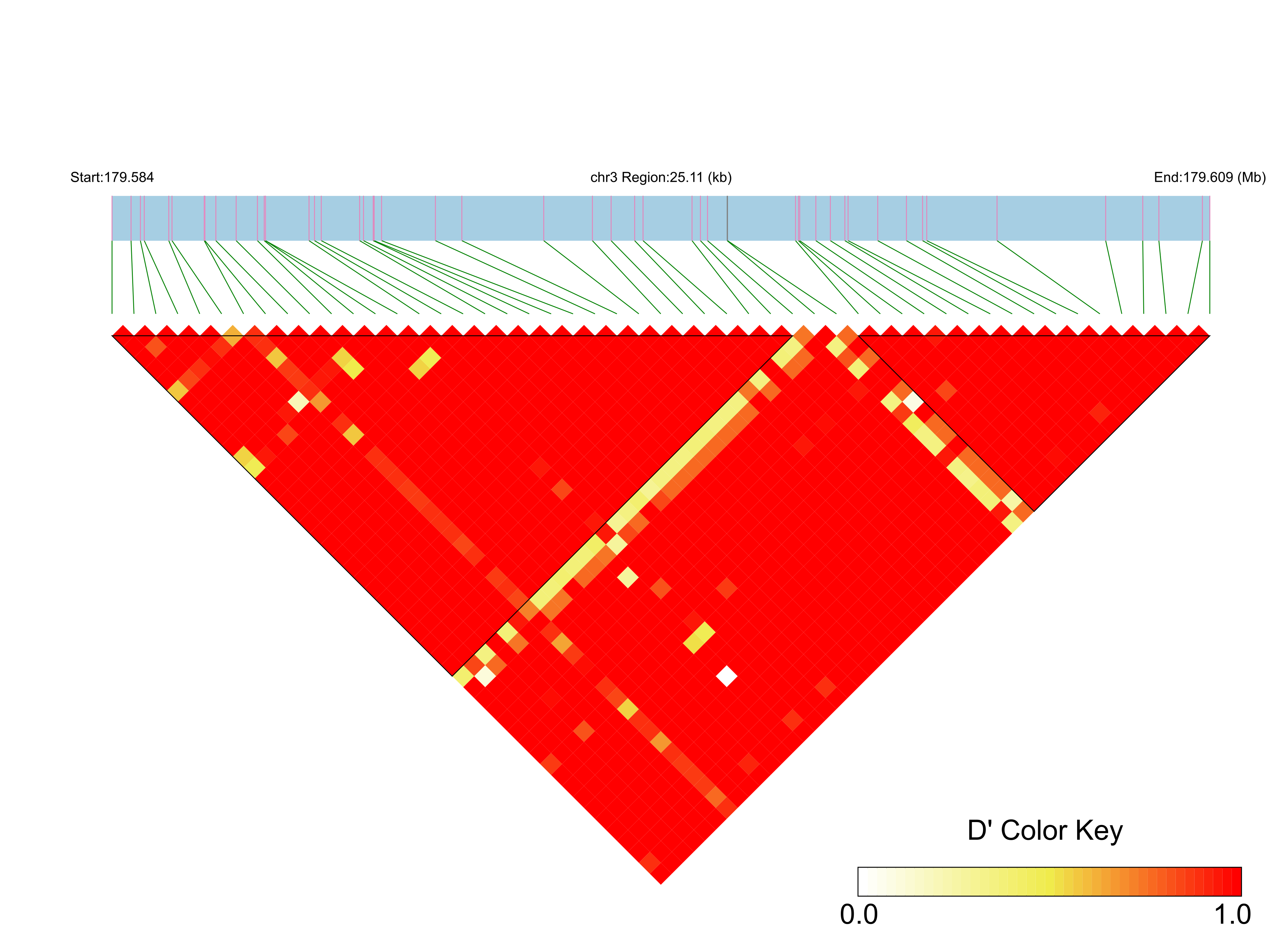 LD