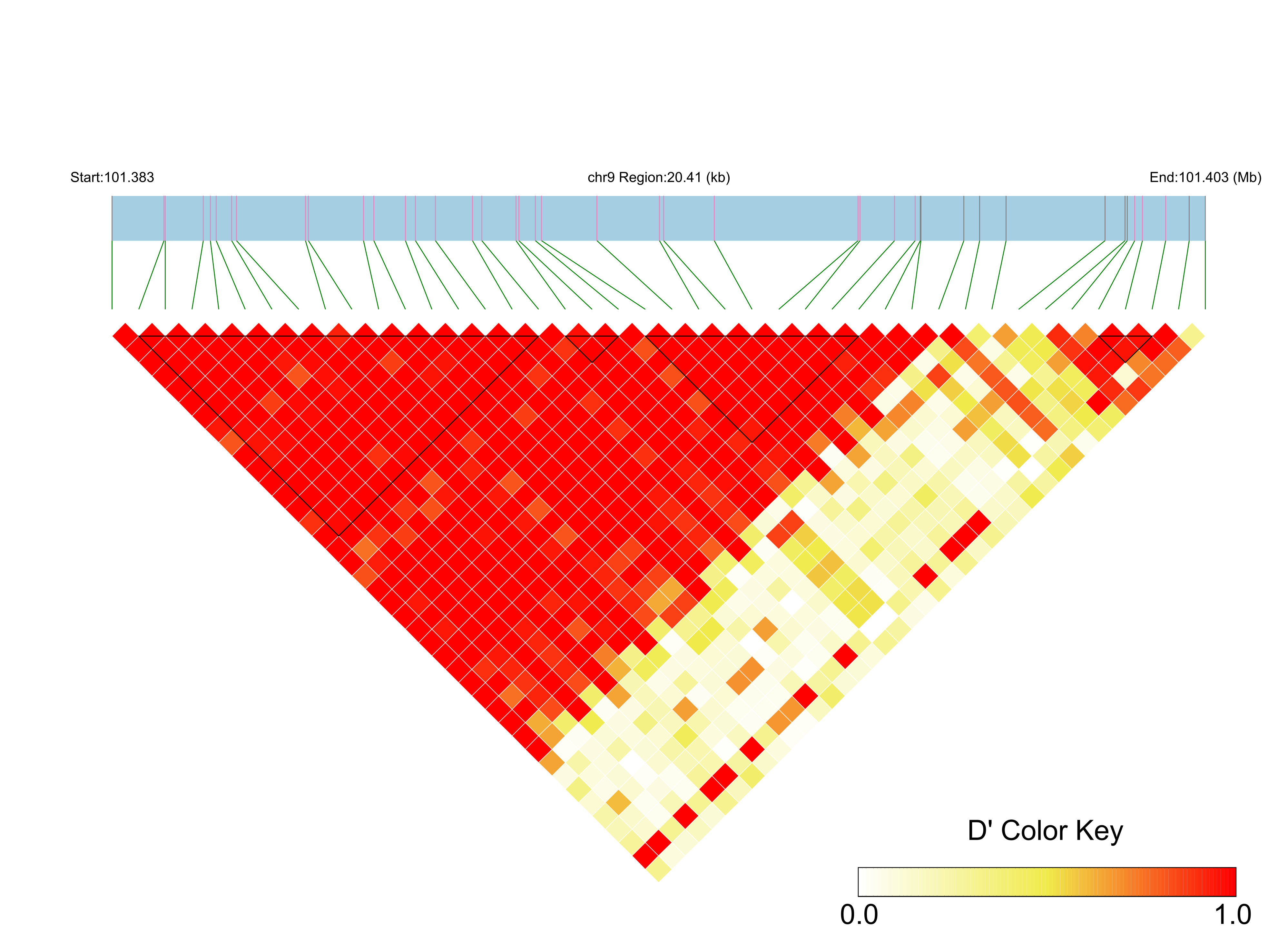 LD