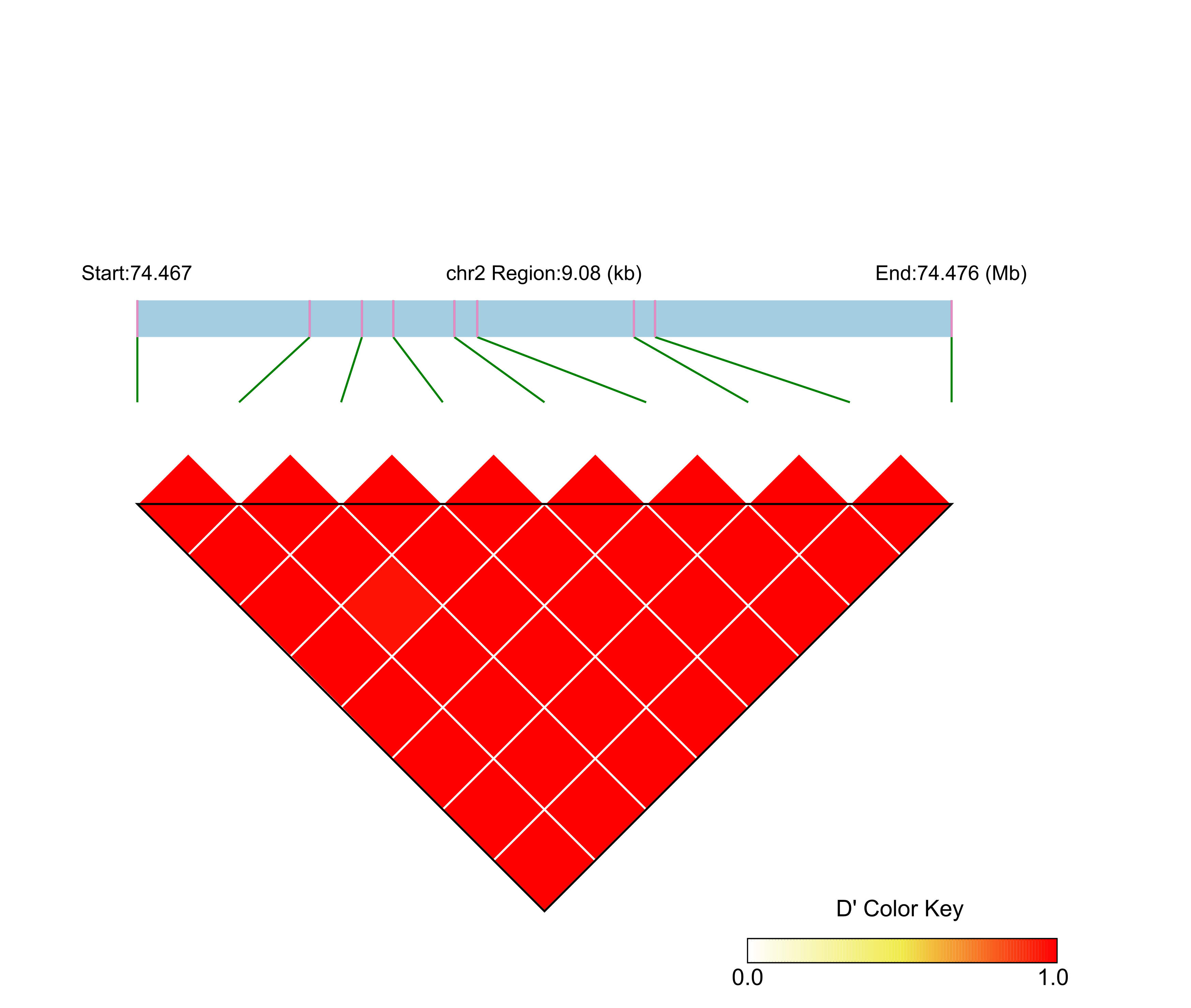 LD