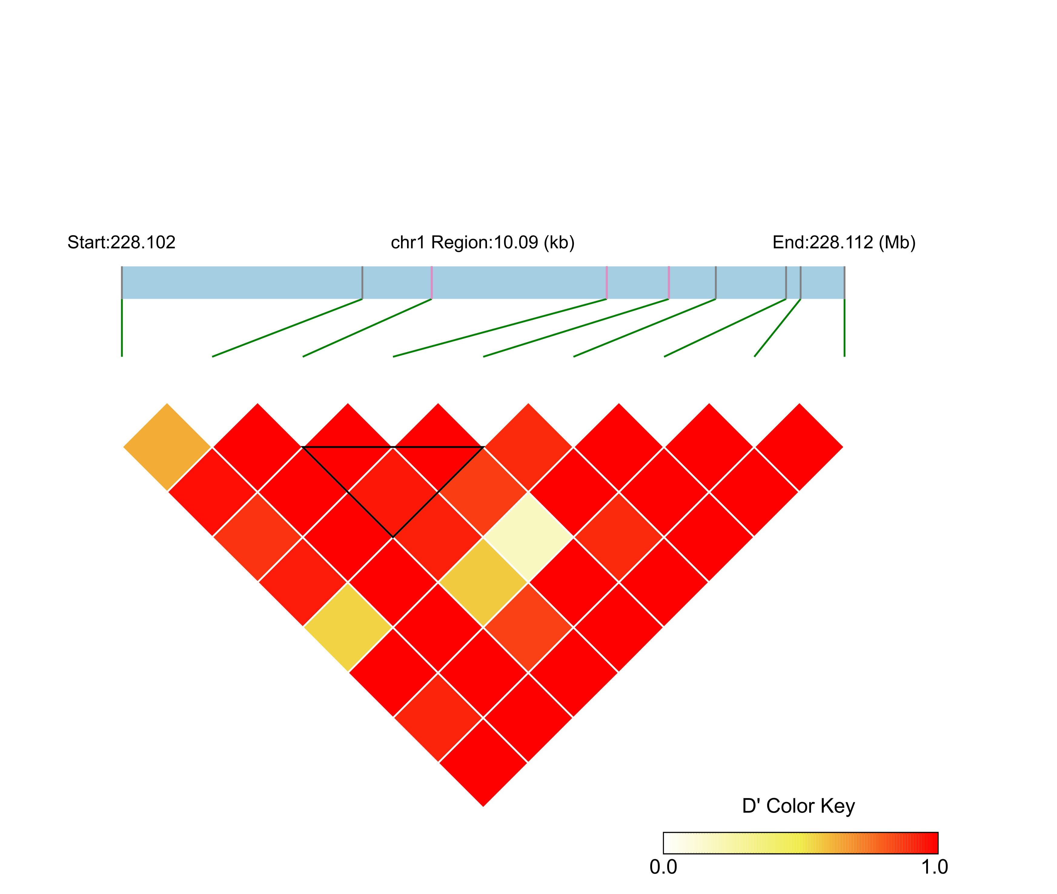 LD