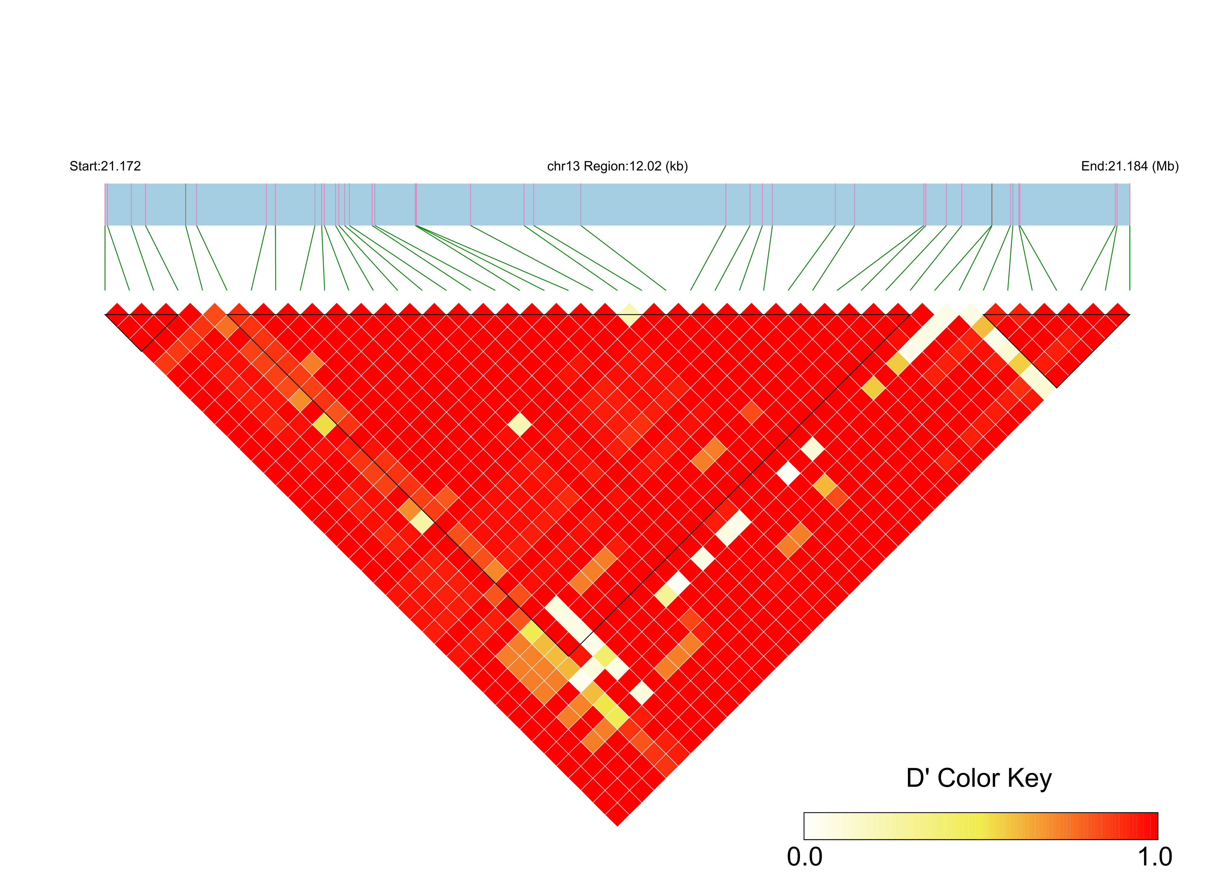 LD