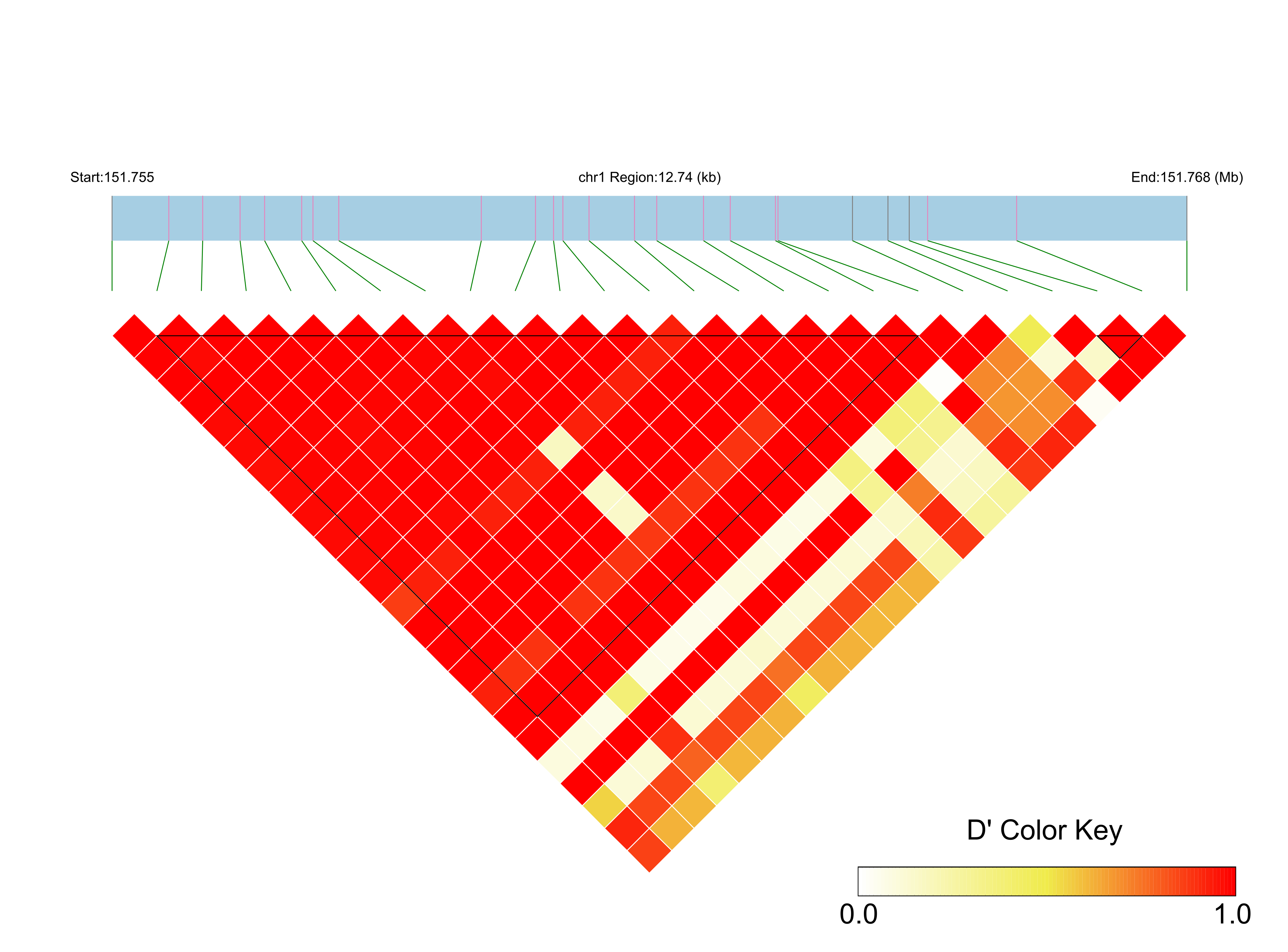 LD