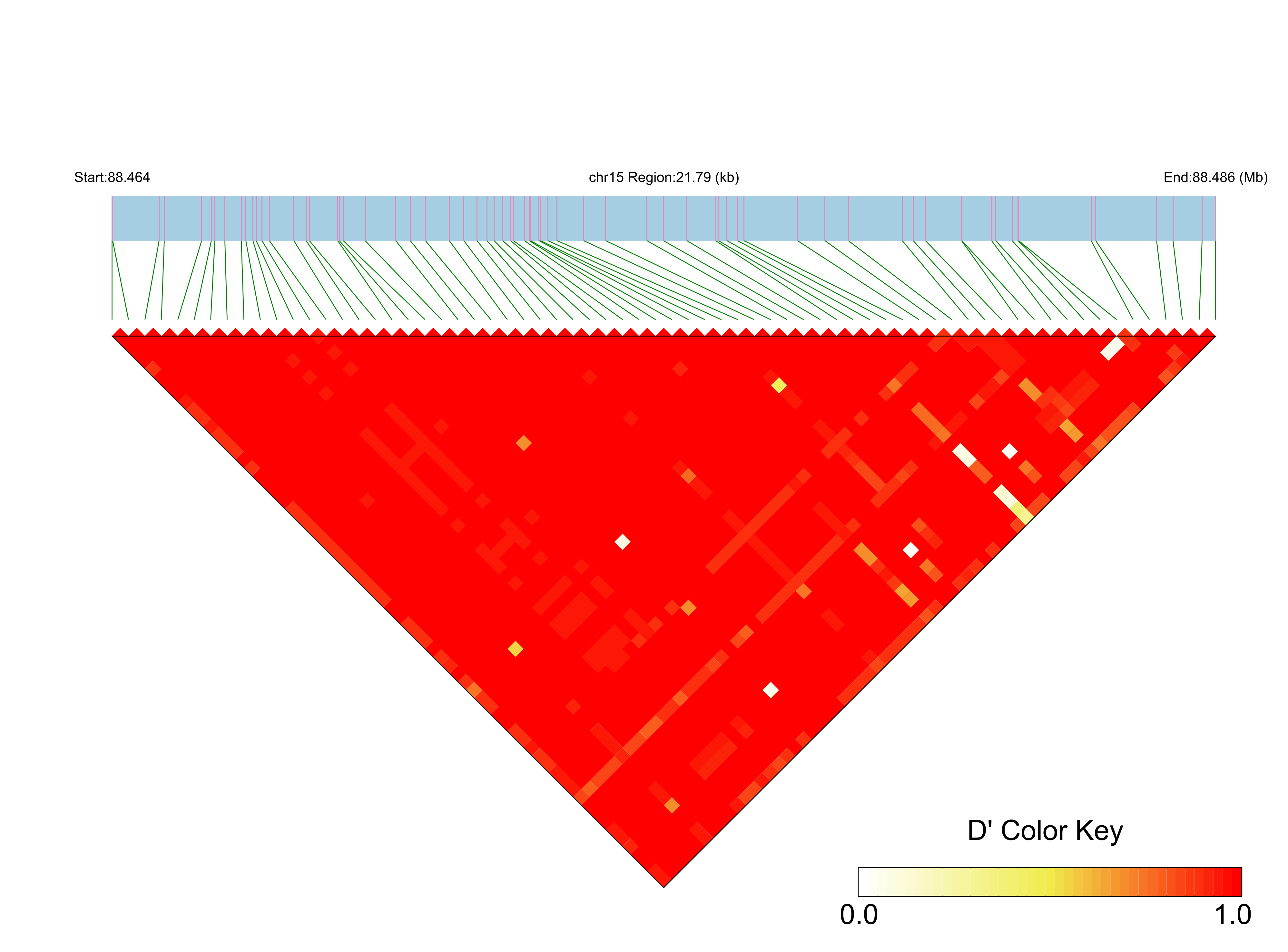 LD