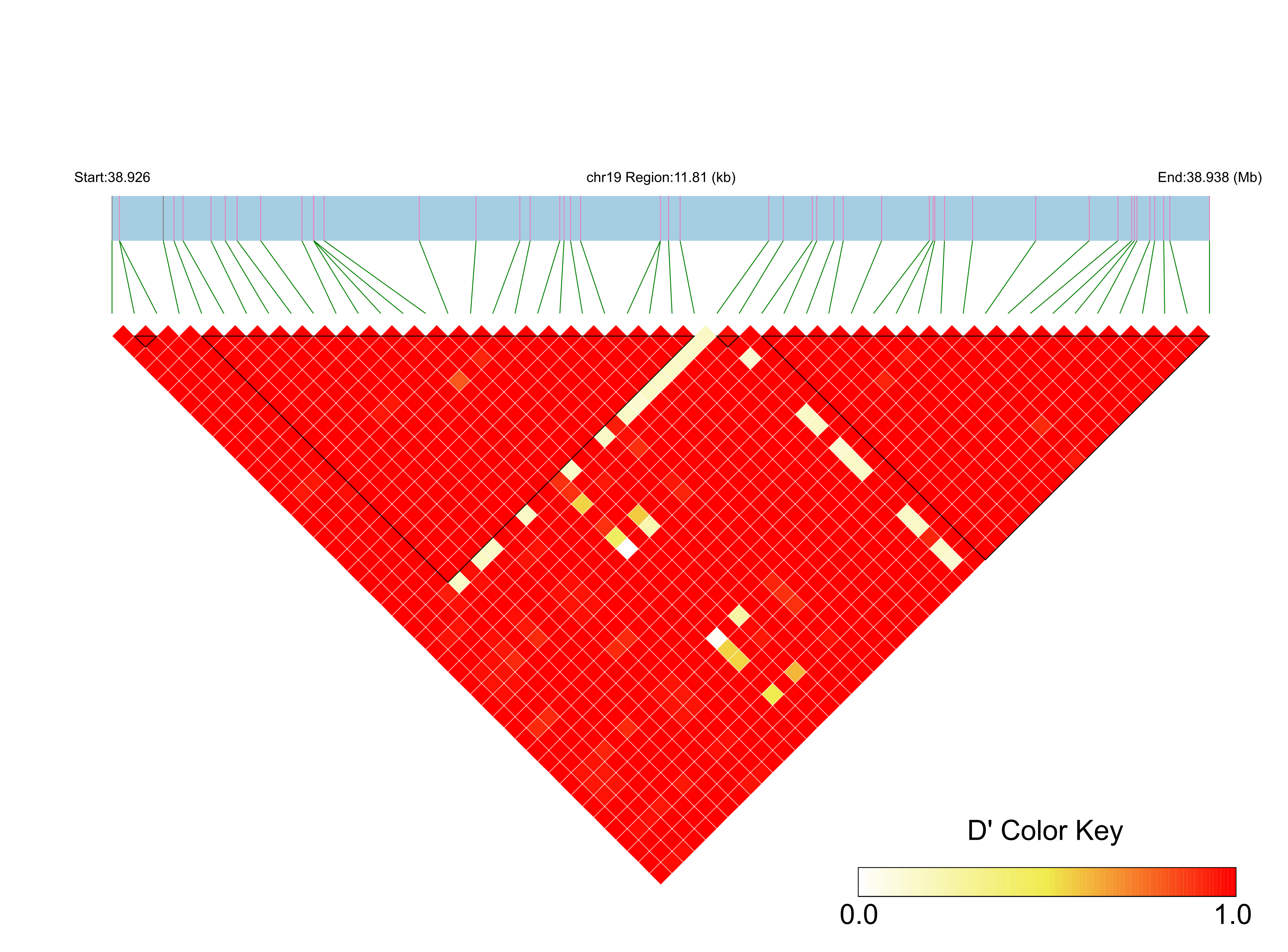 LD