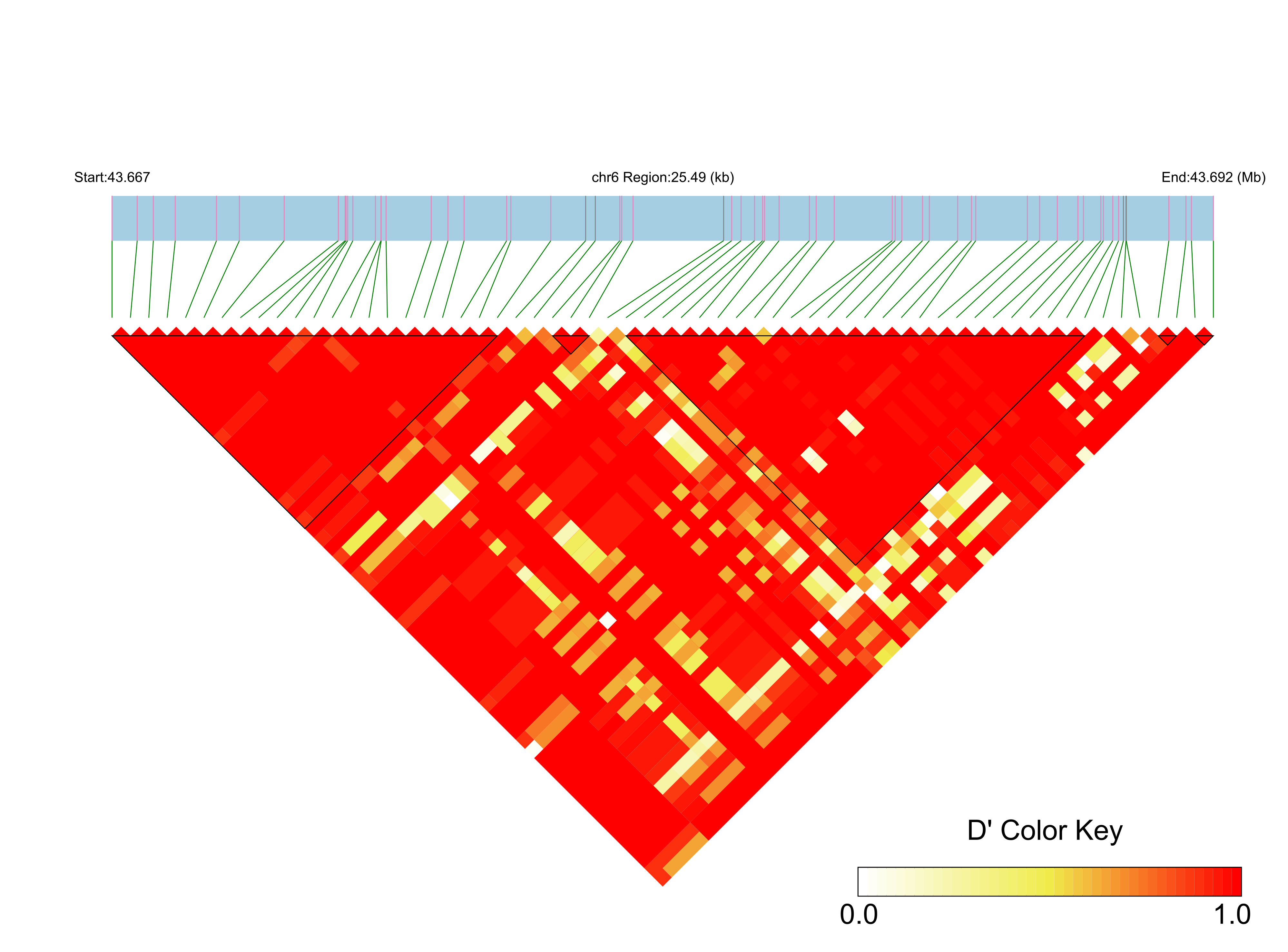 LD
