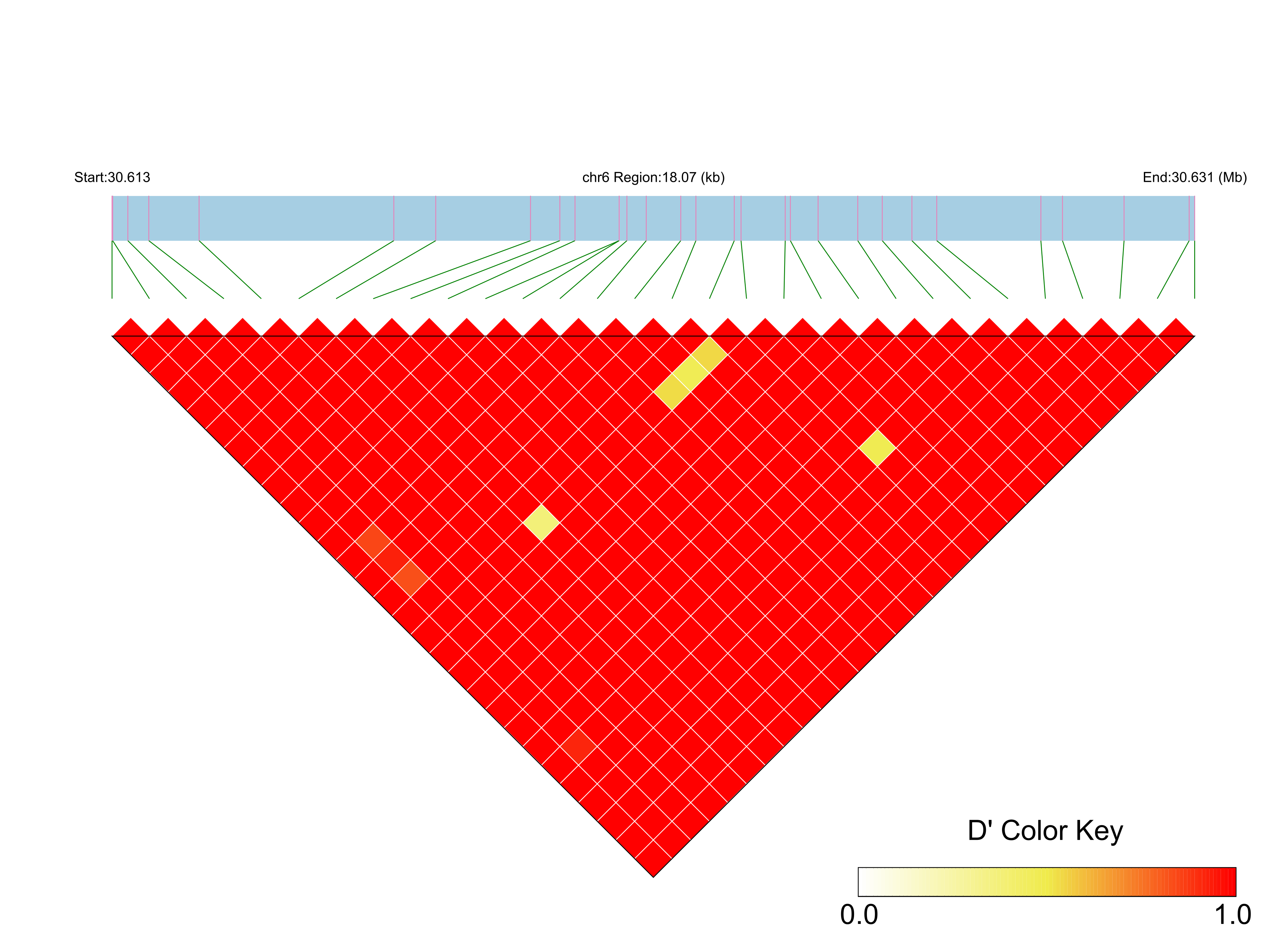 LD