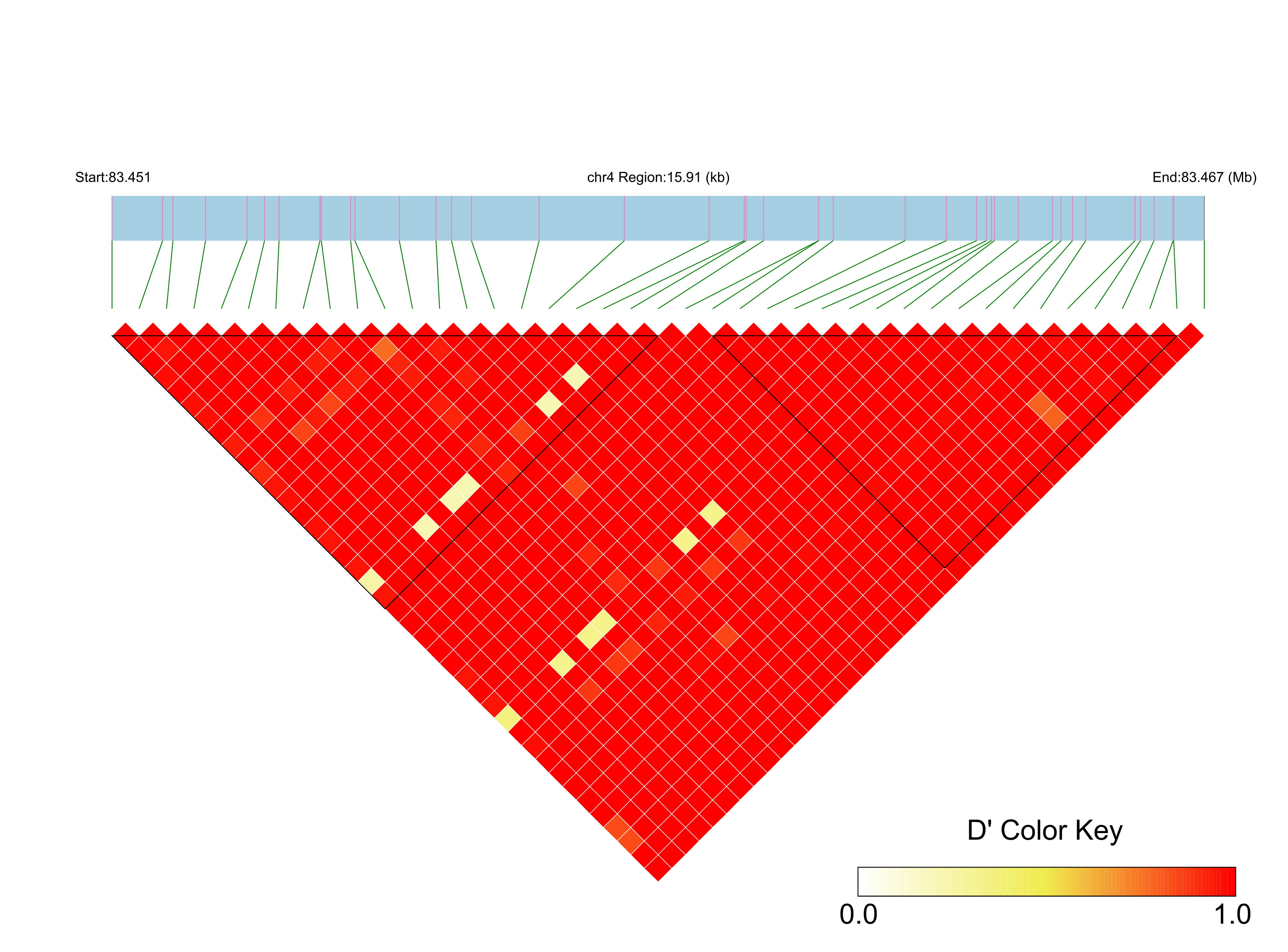 LD