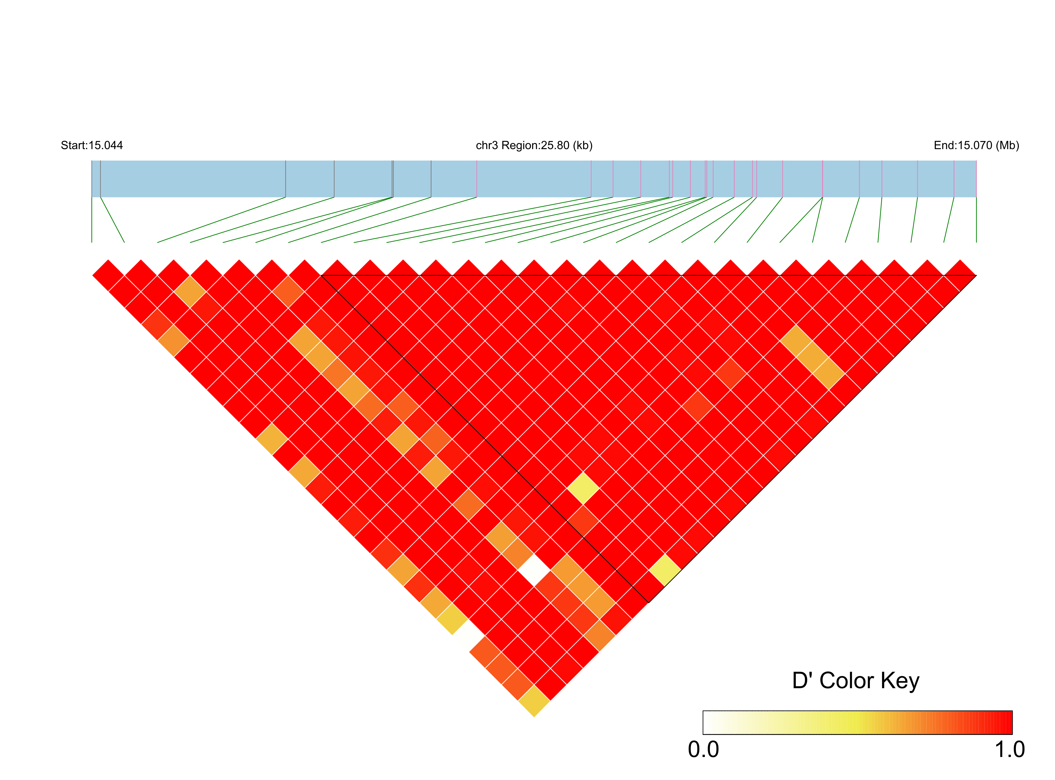 LD