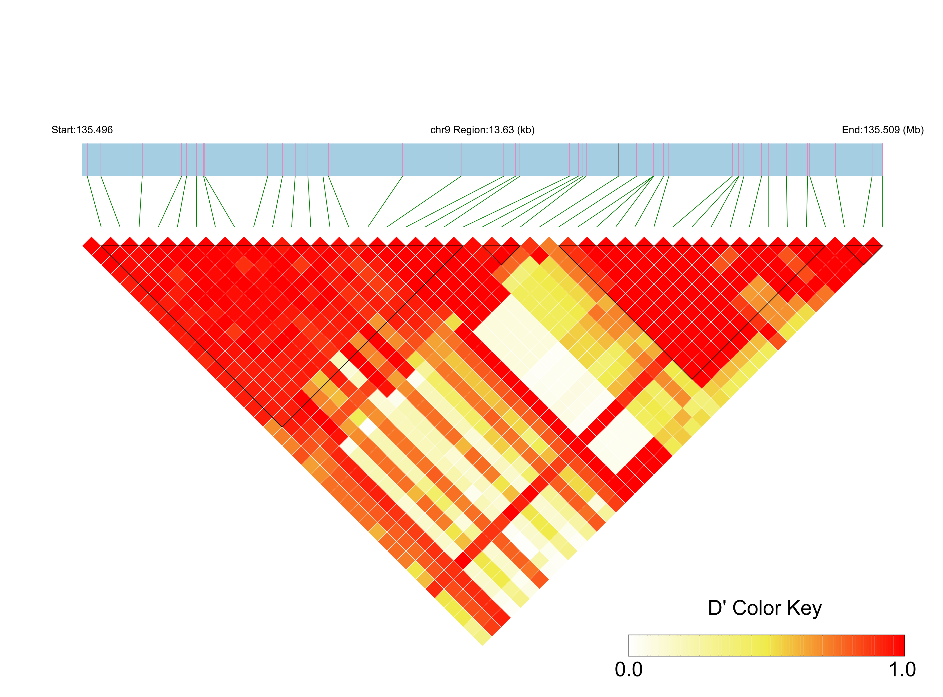 LD