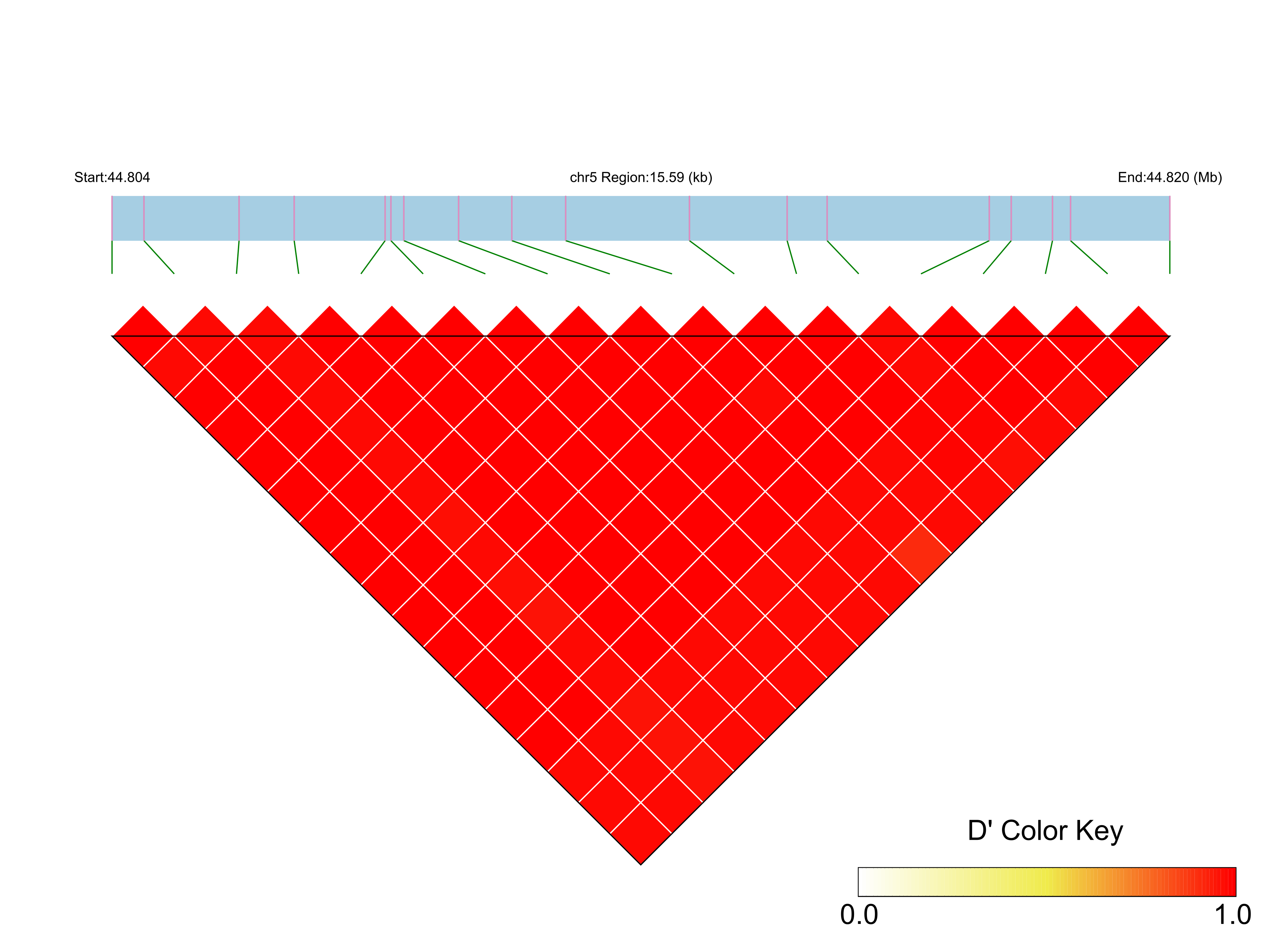 LD