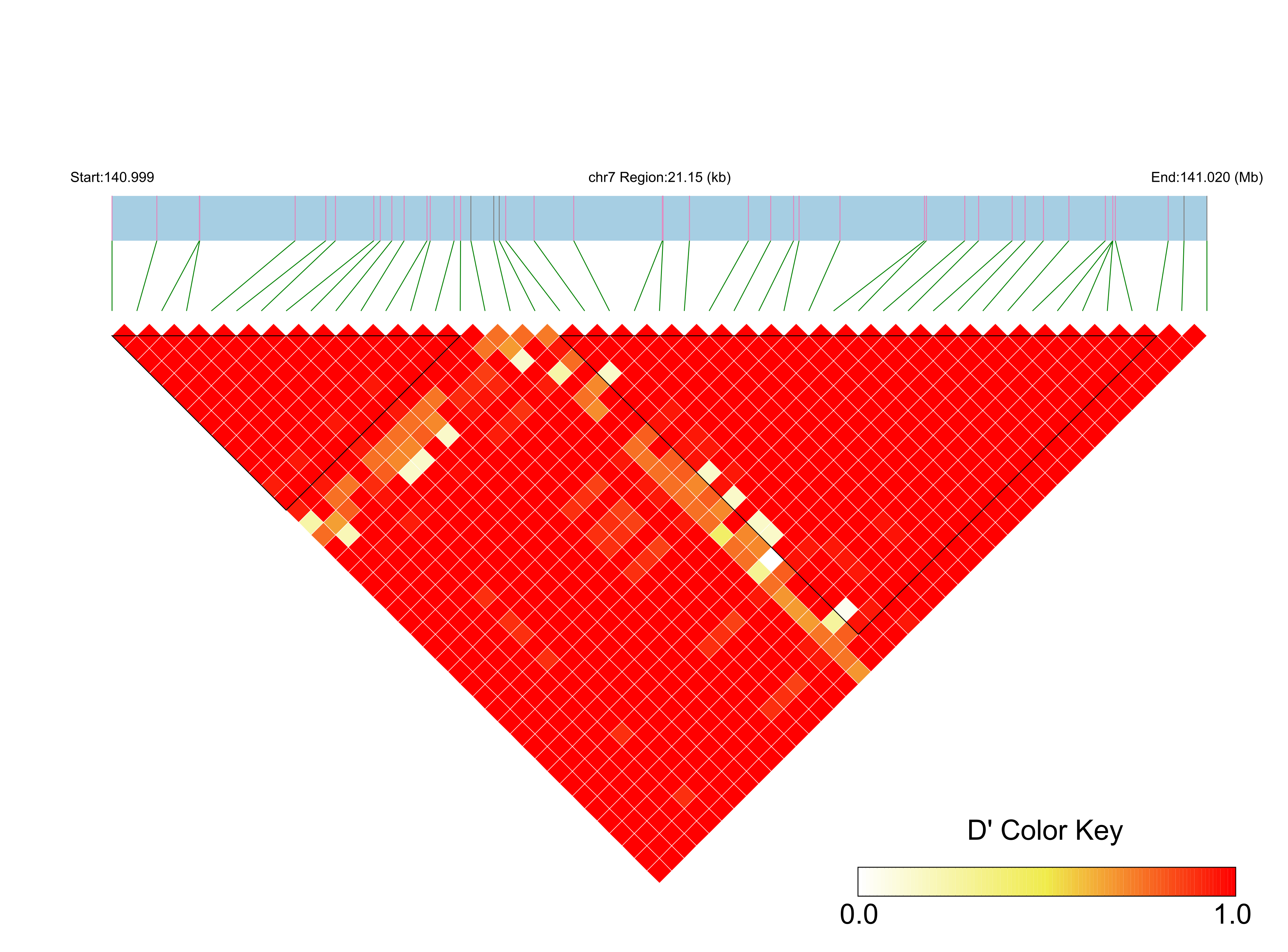LD