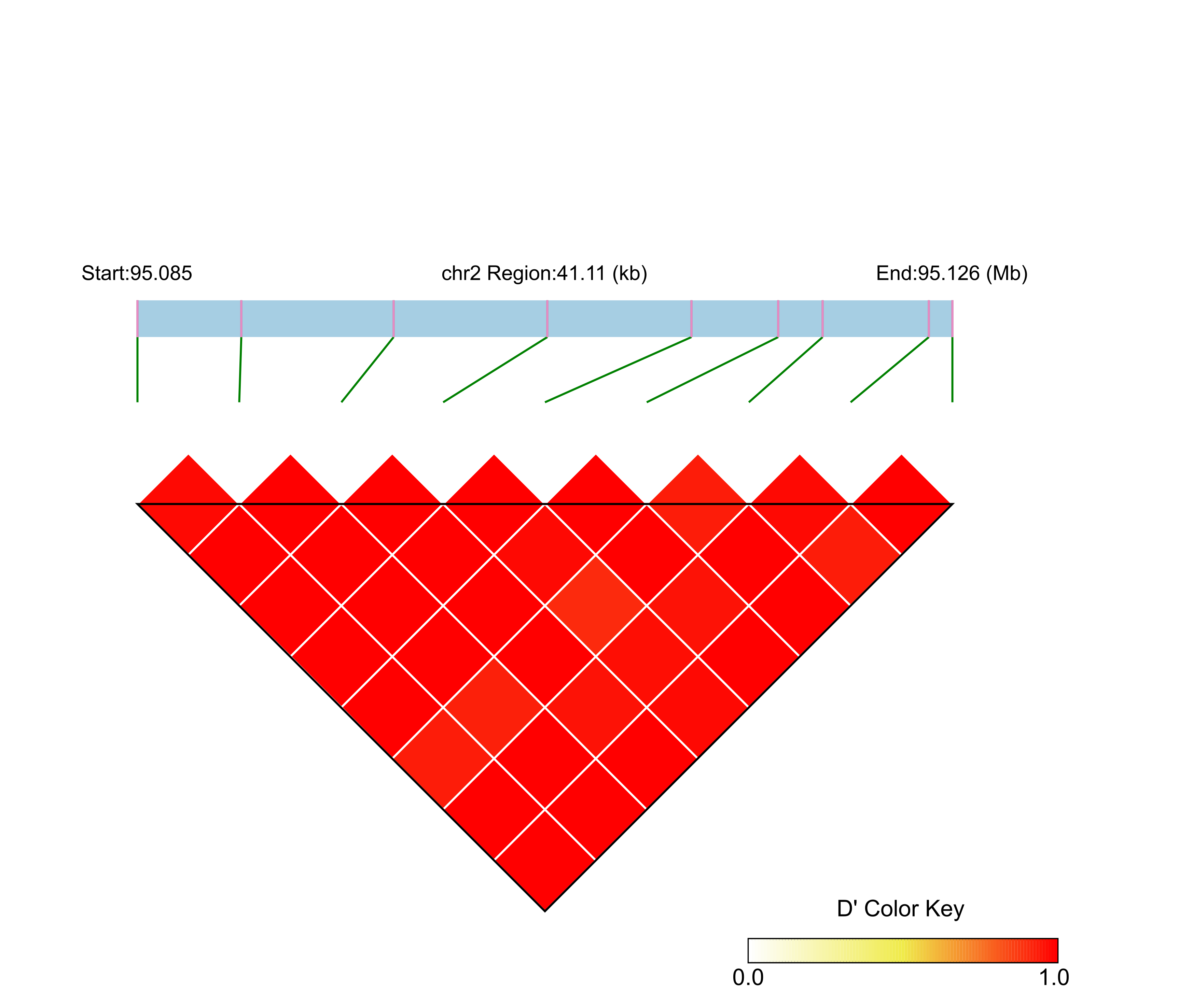 LD