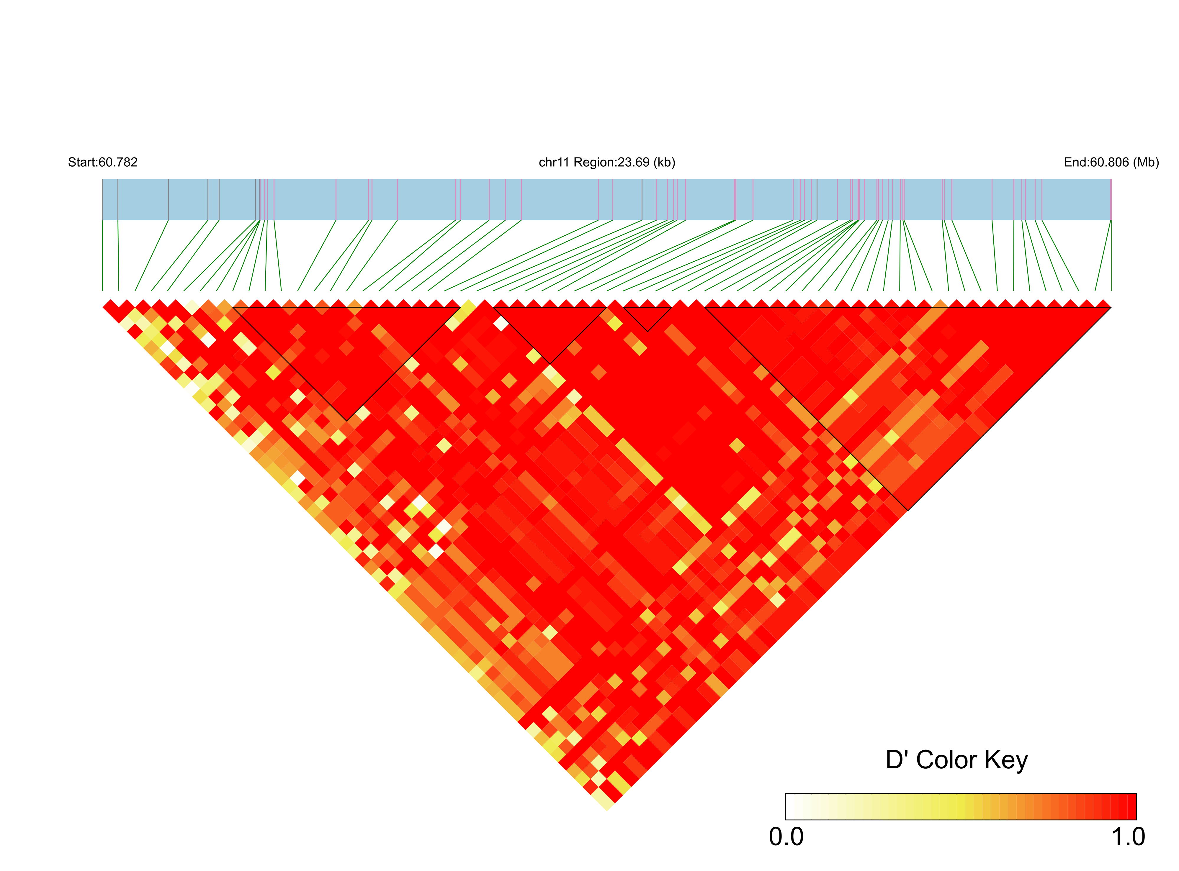 LD