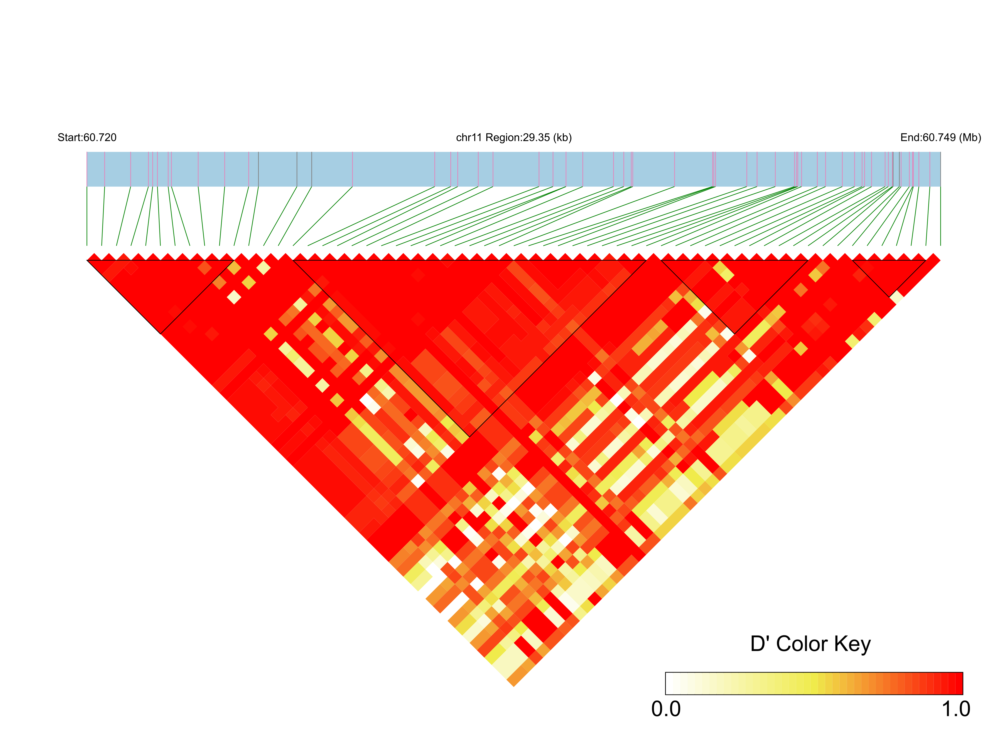 LD