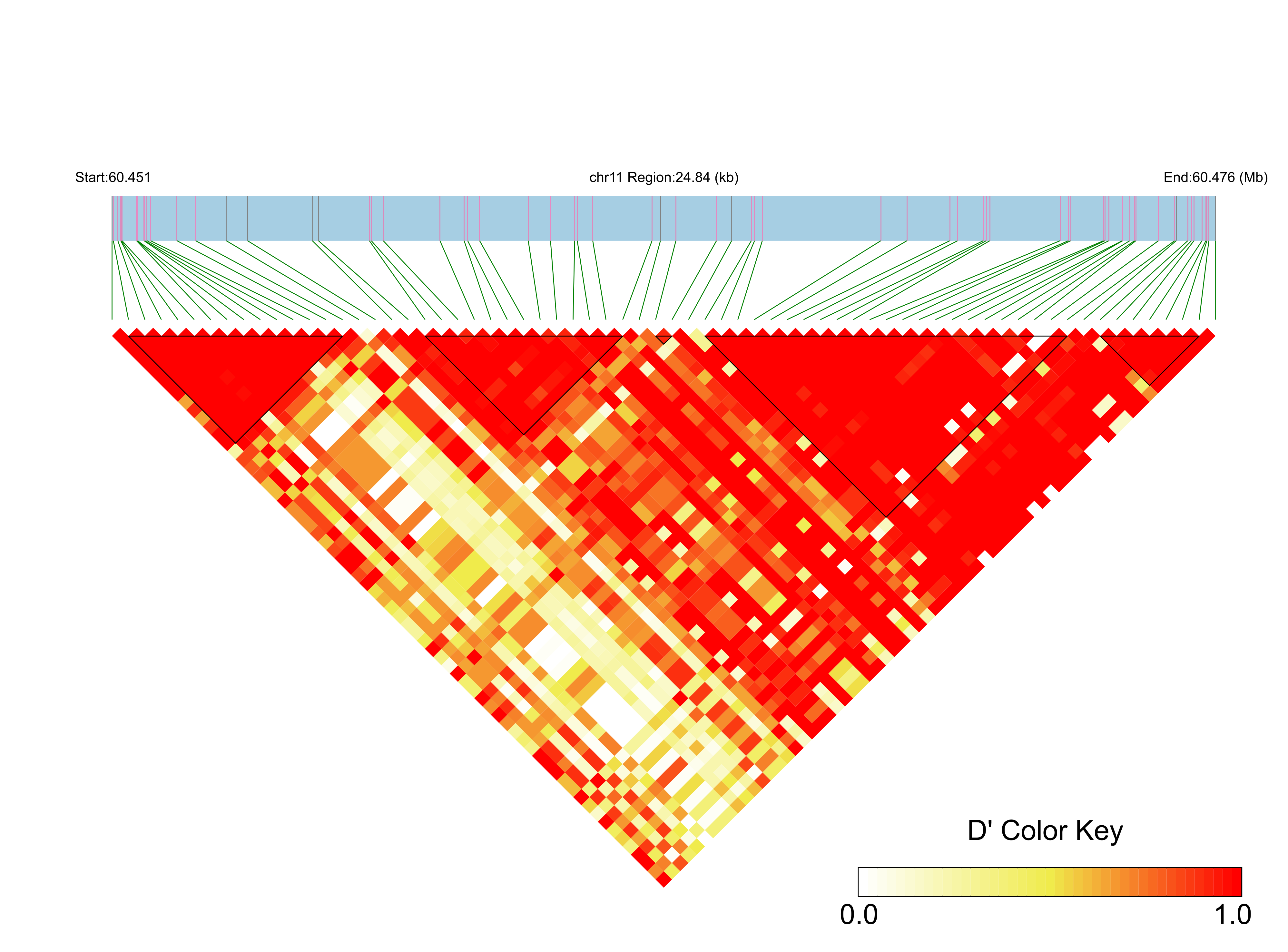 LD