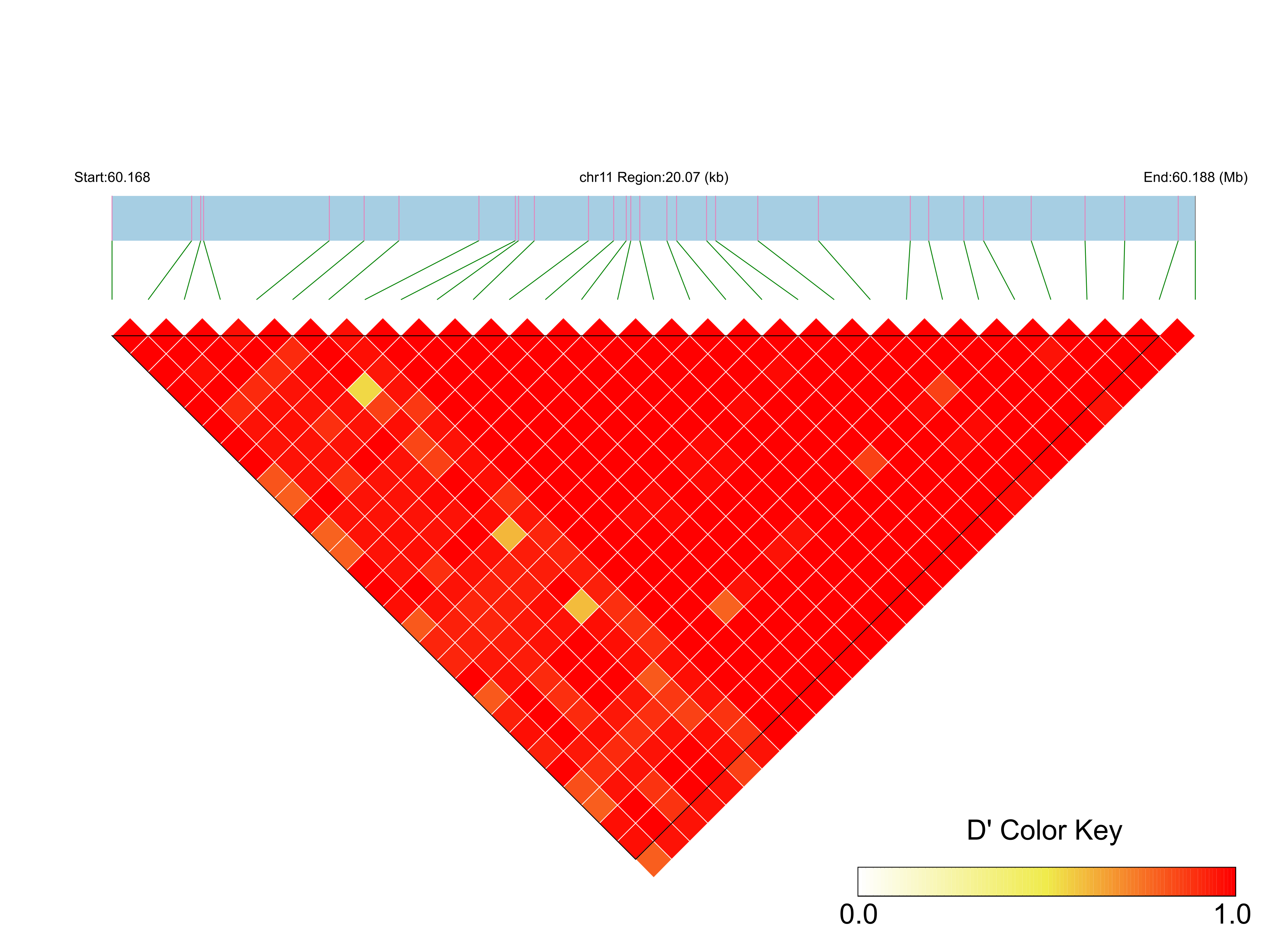 LD