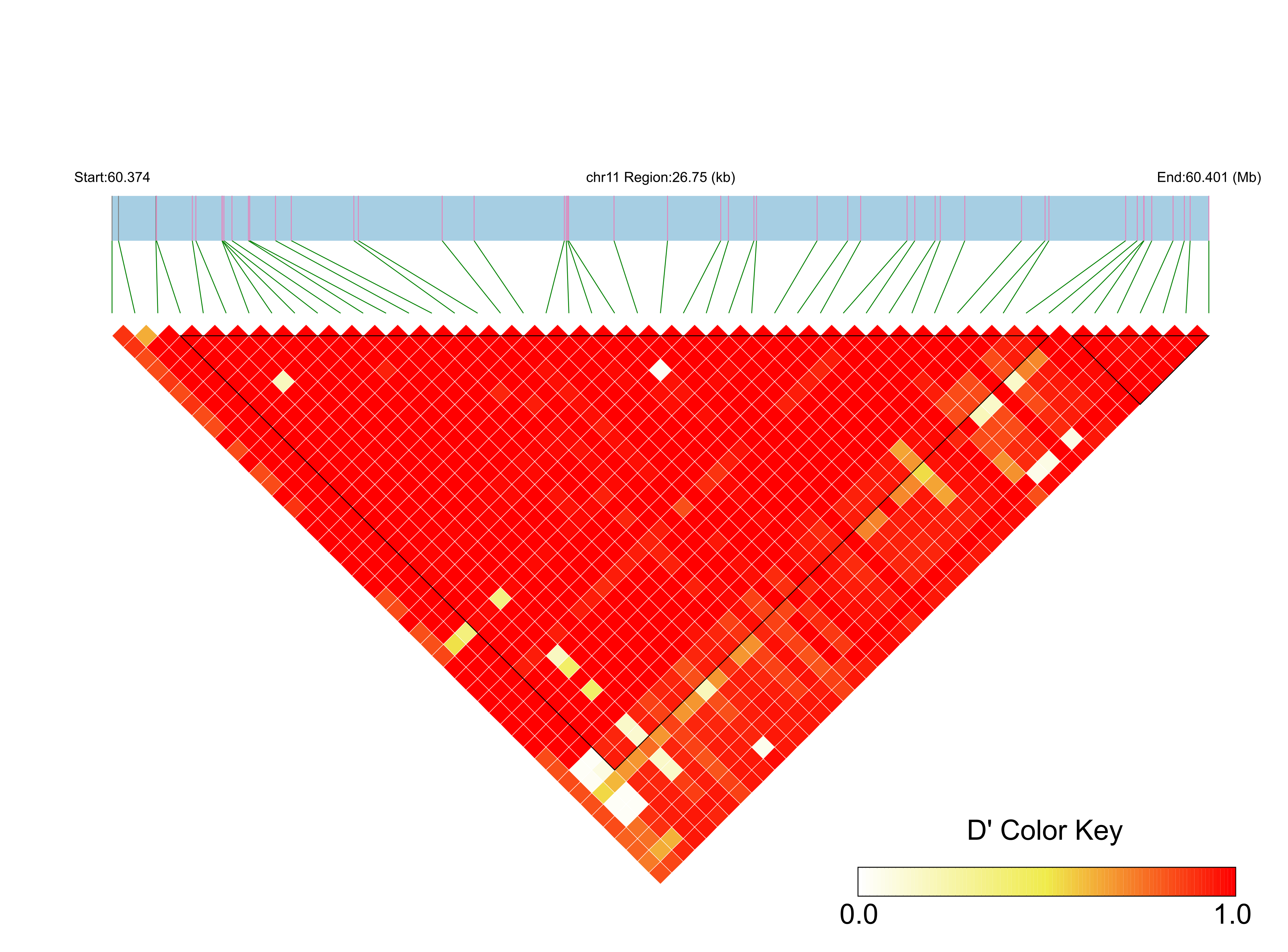 LD
