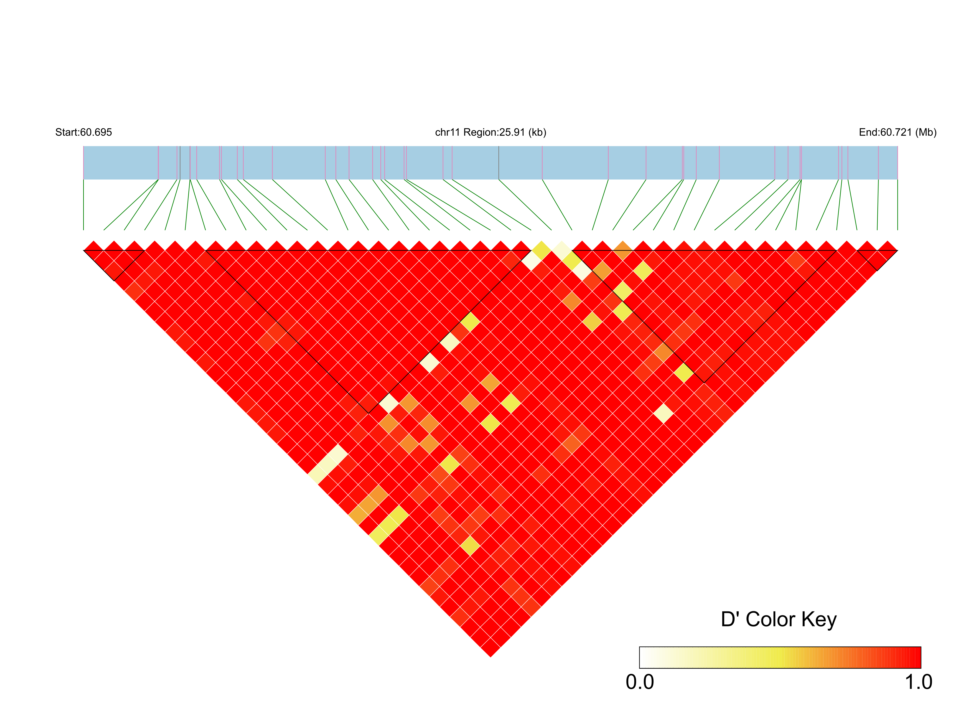 LD