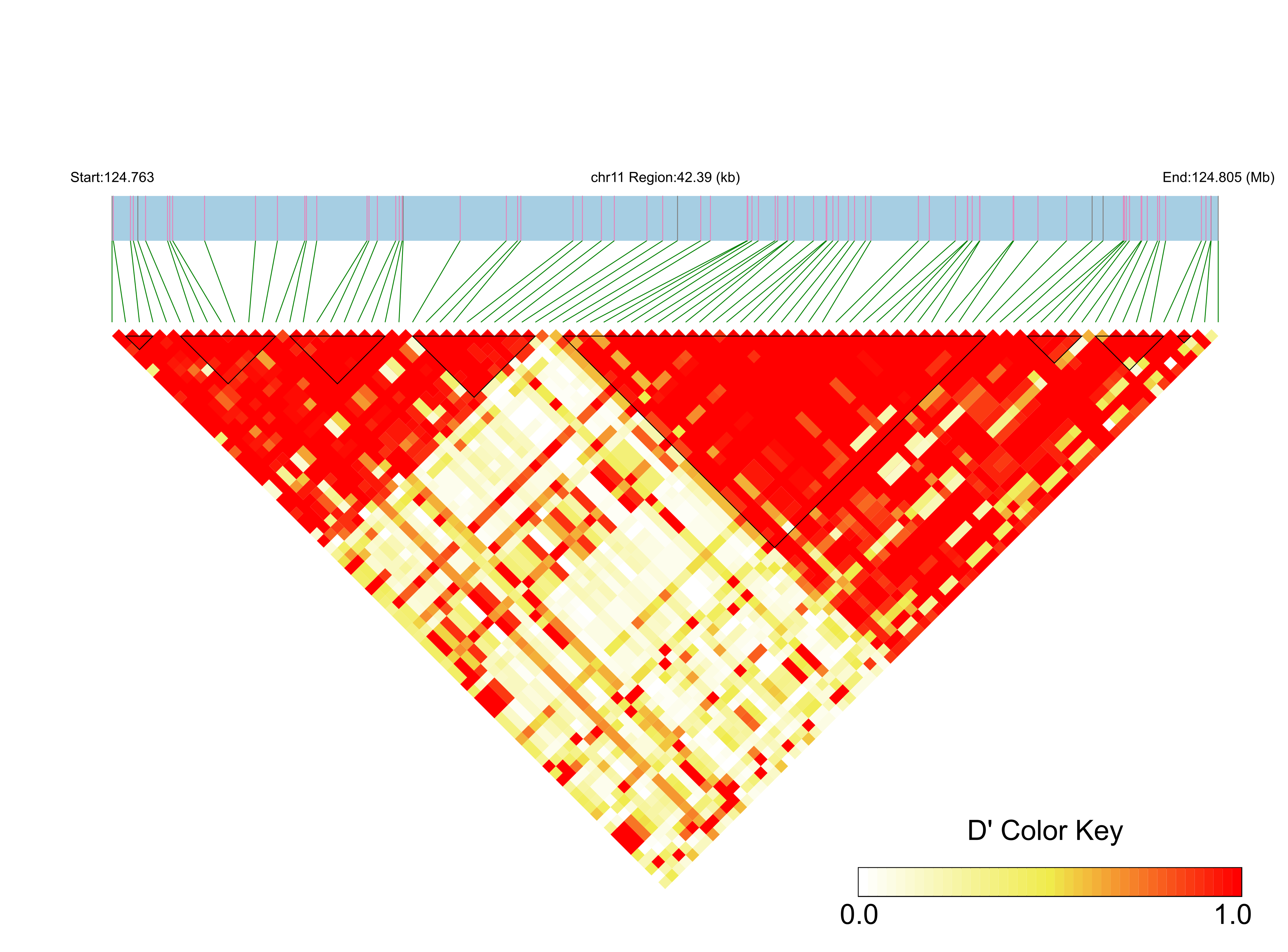 LD