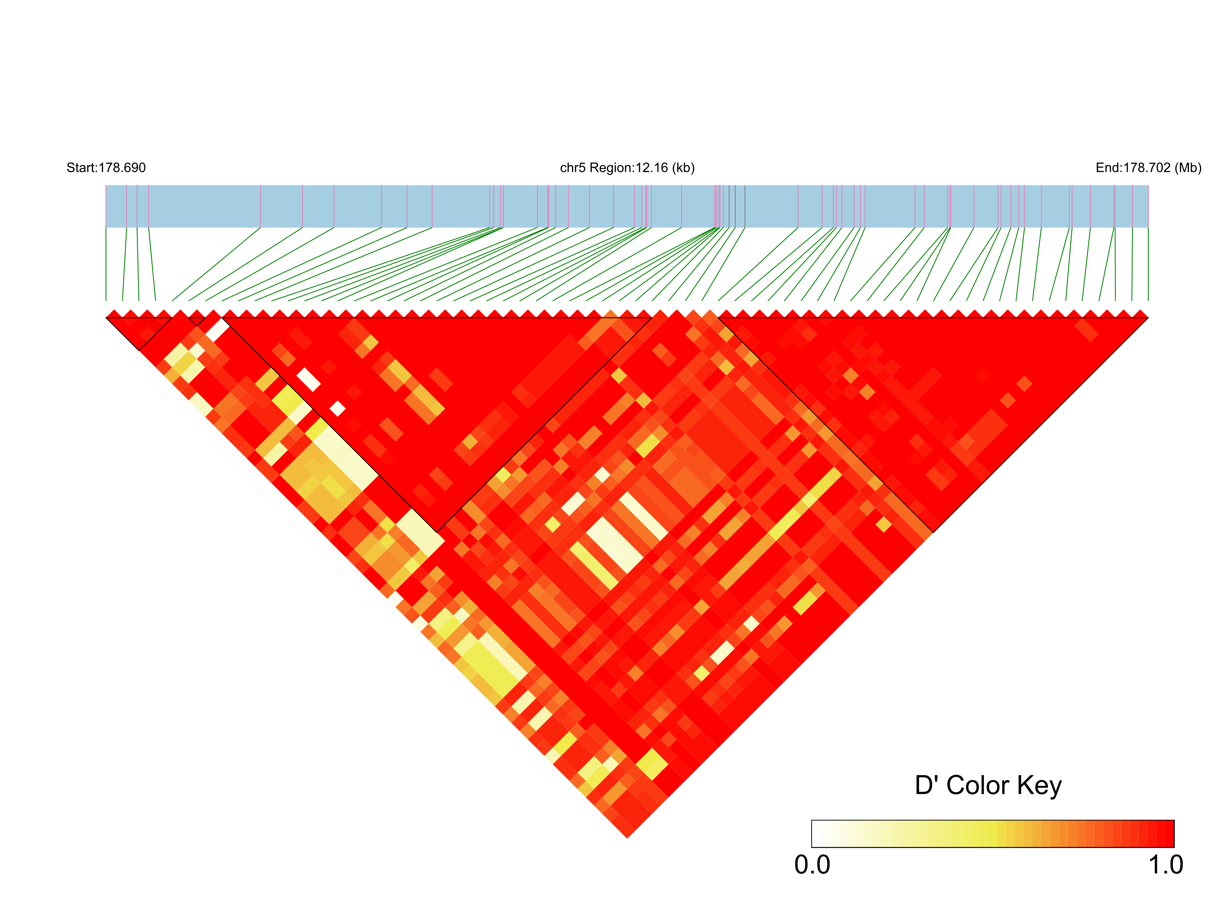 LD