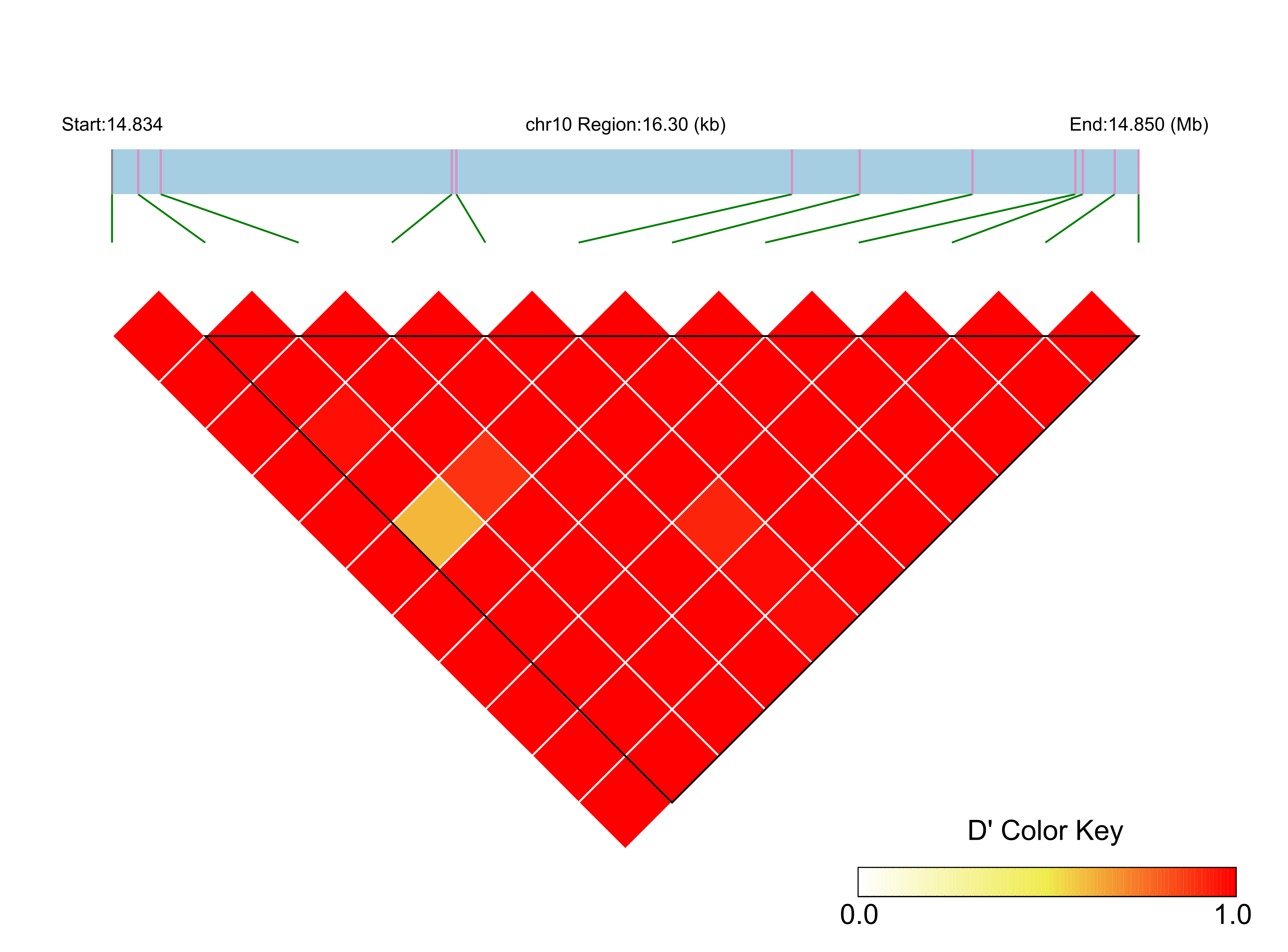 LD