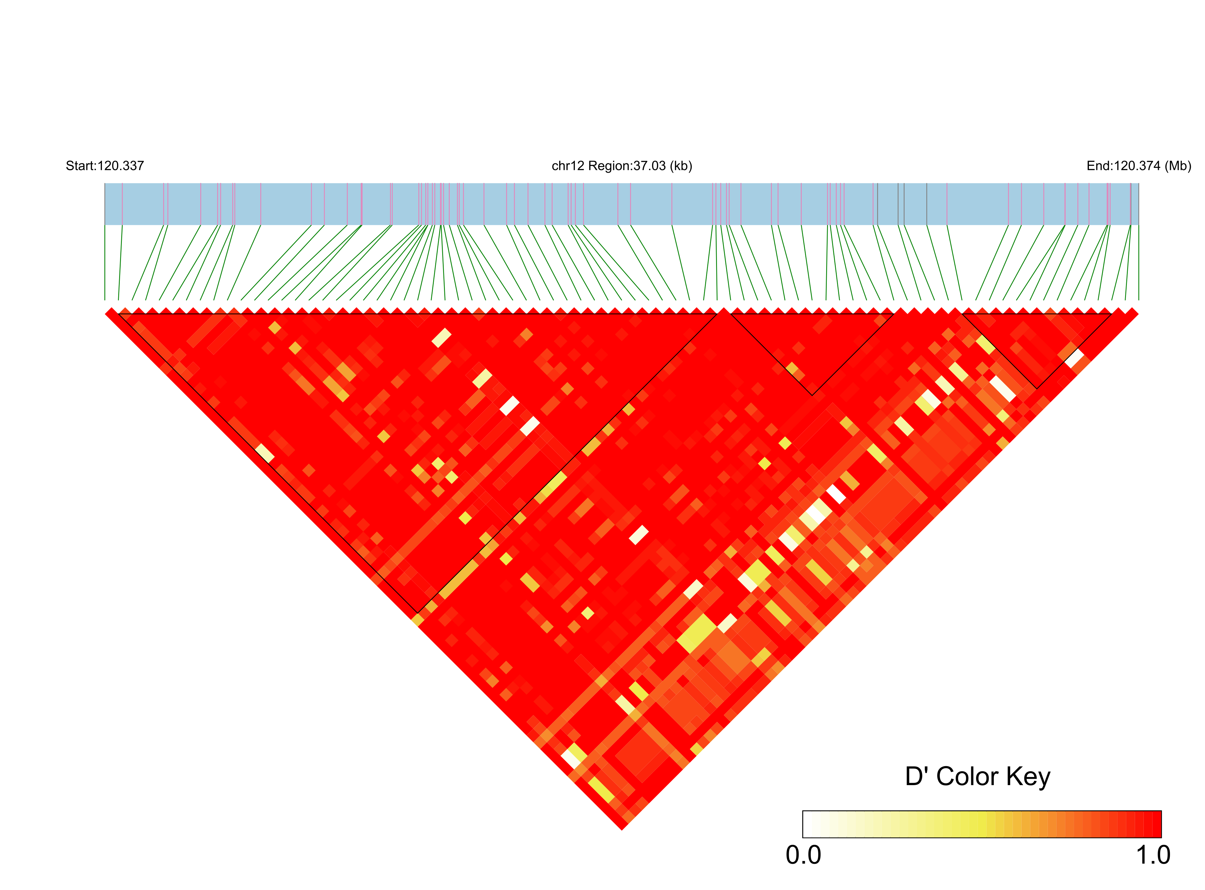 LD