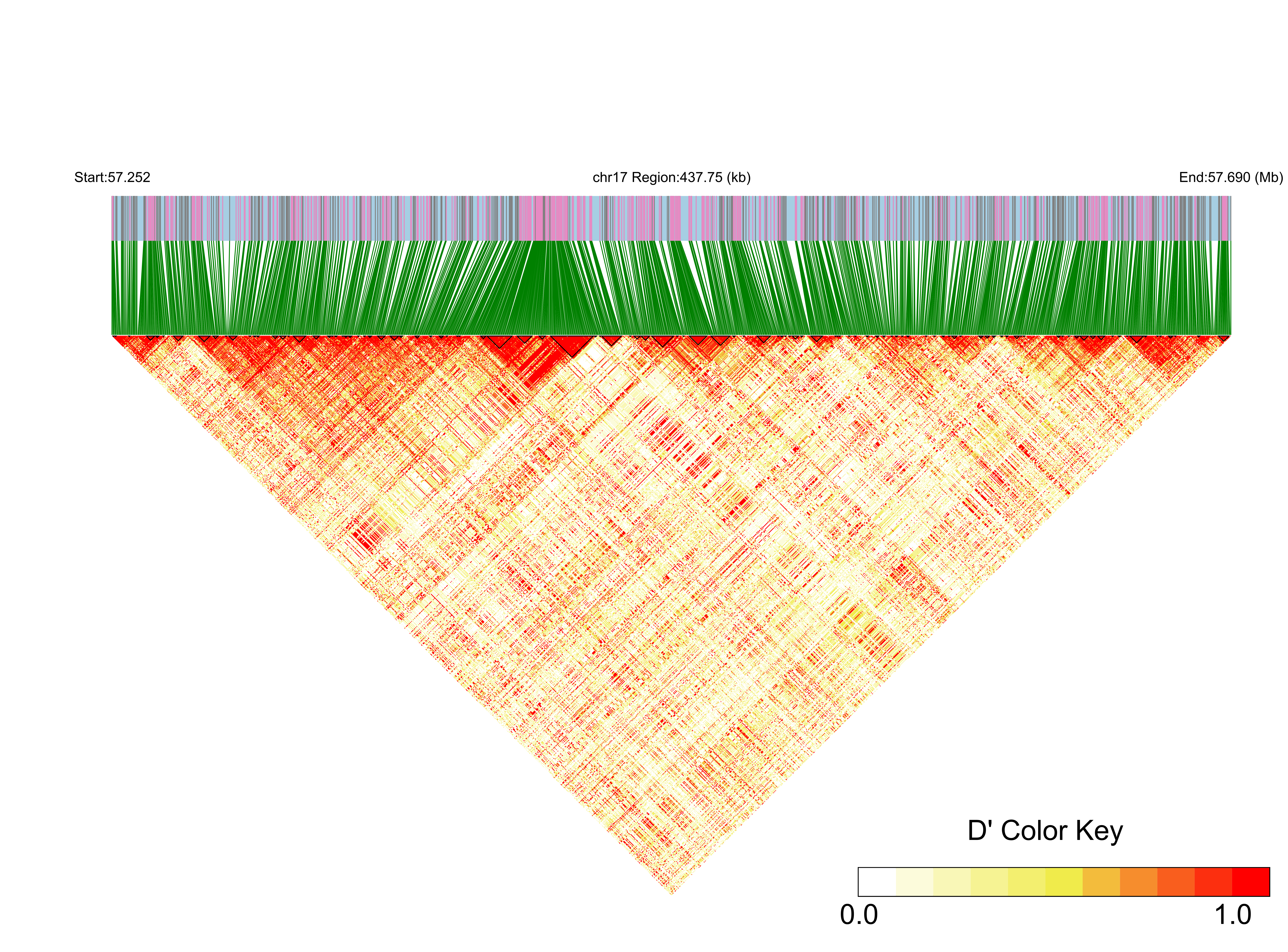 LD
