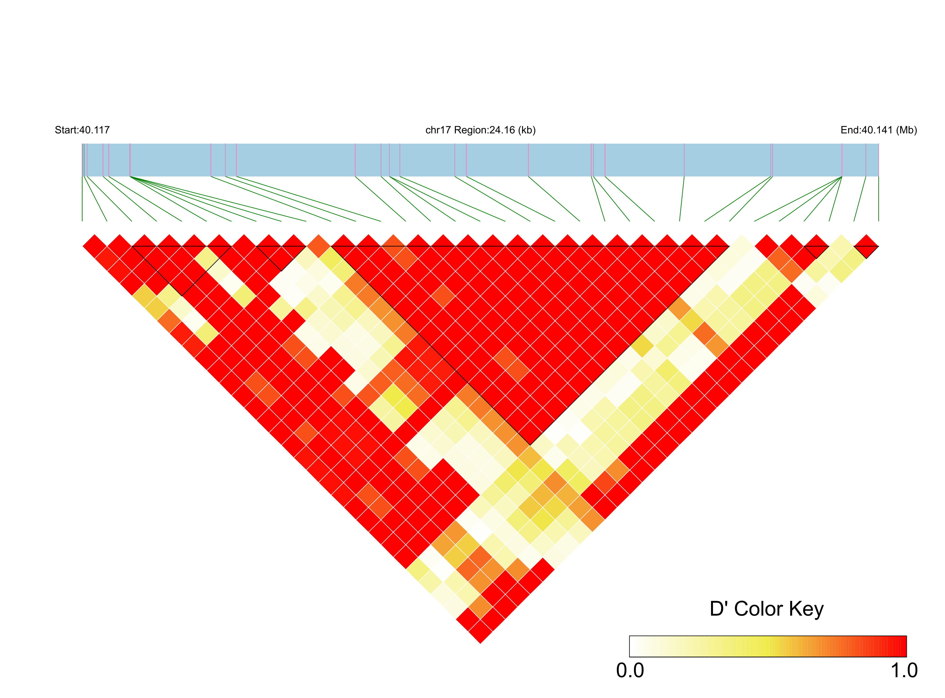 LD
