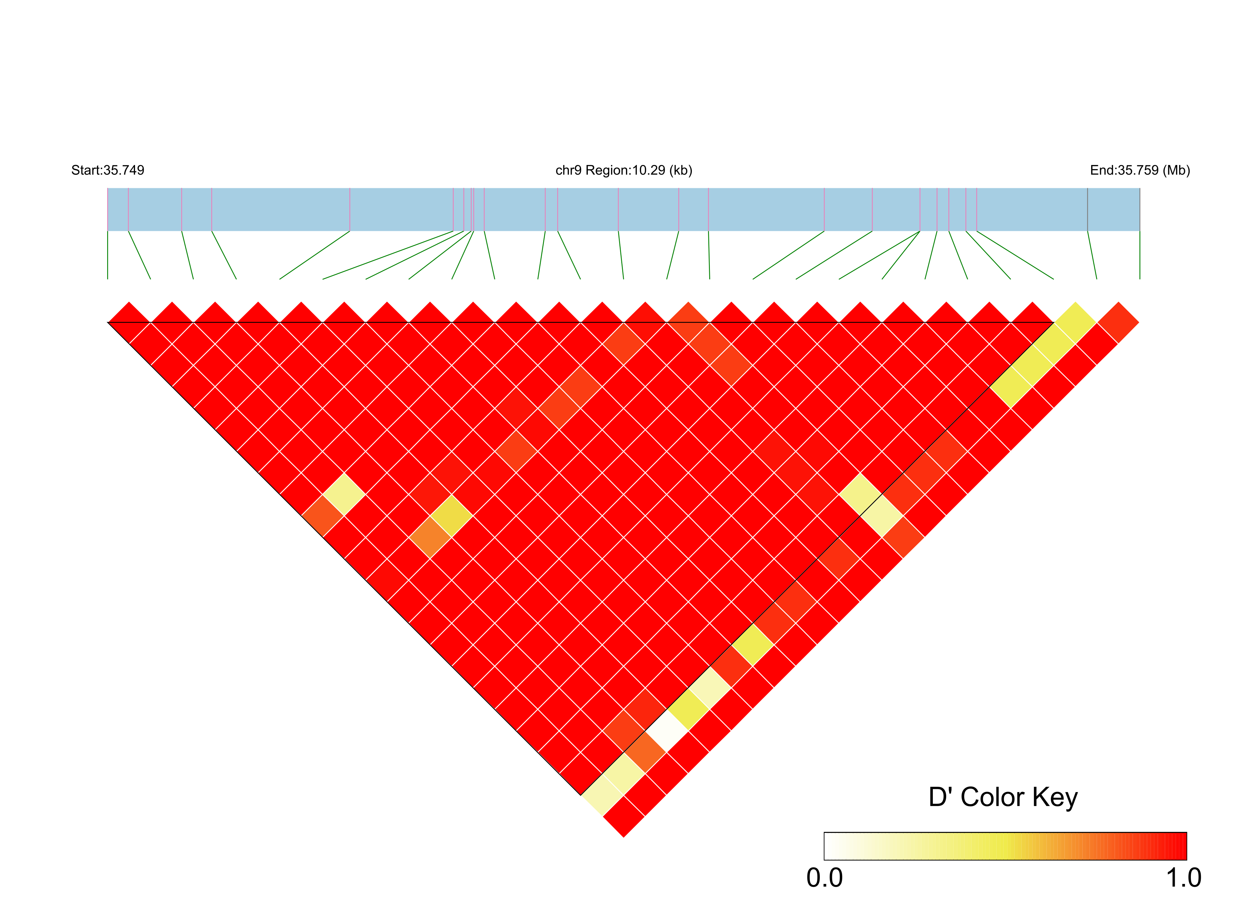LD