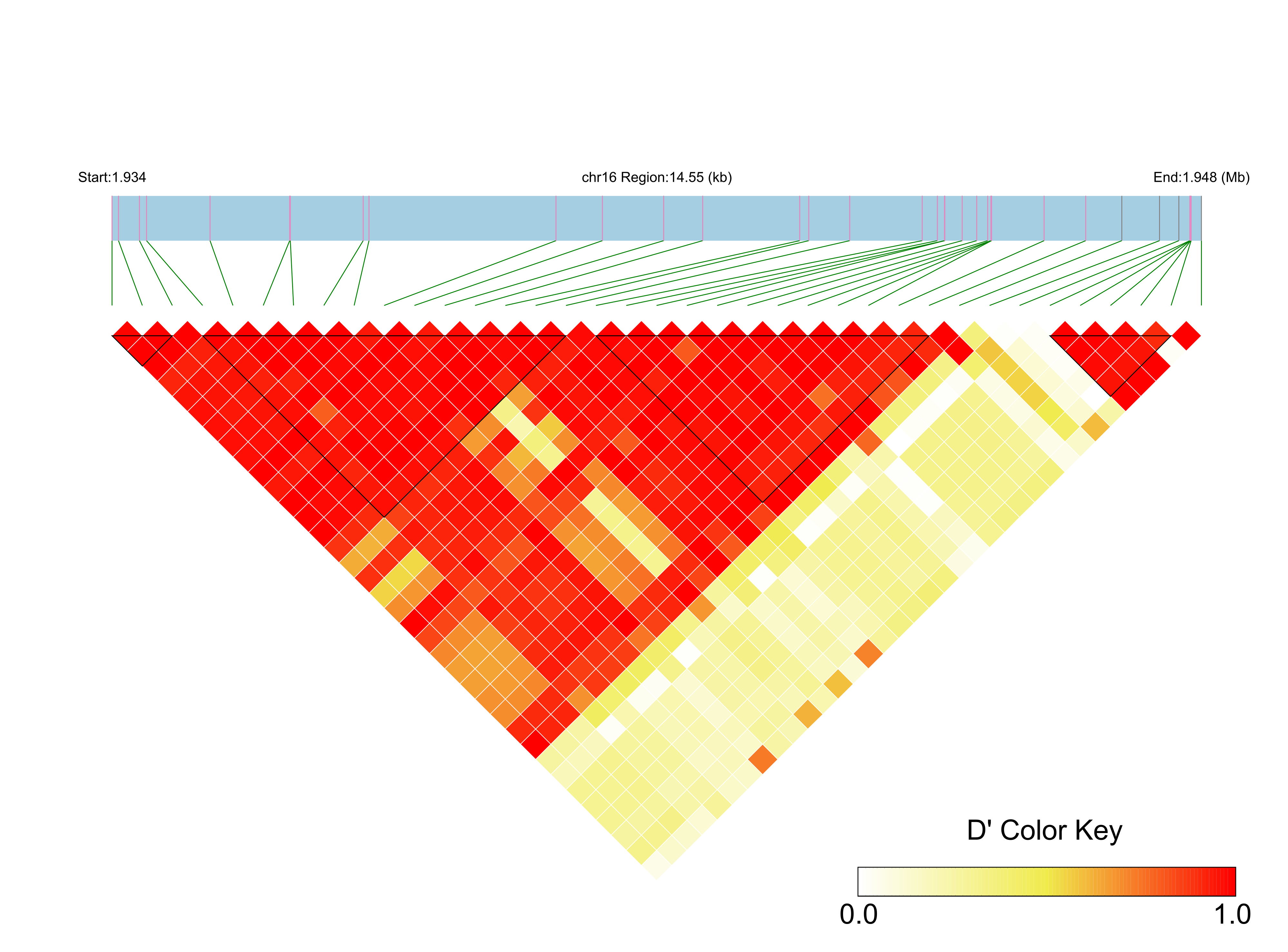 LD