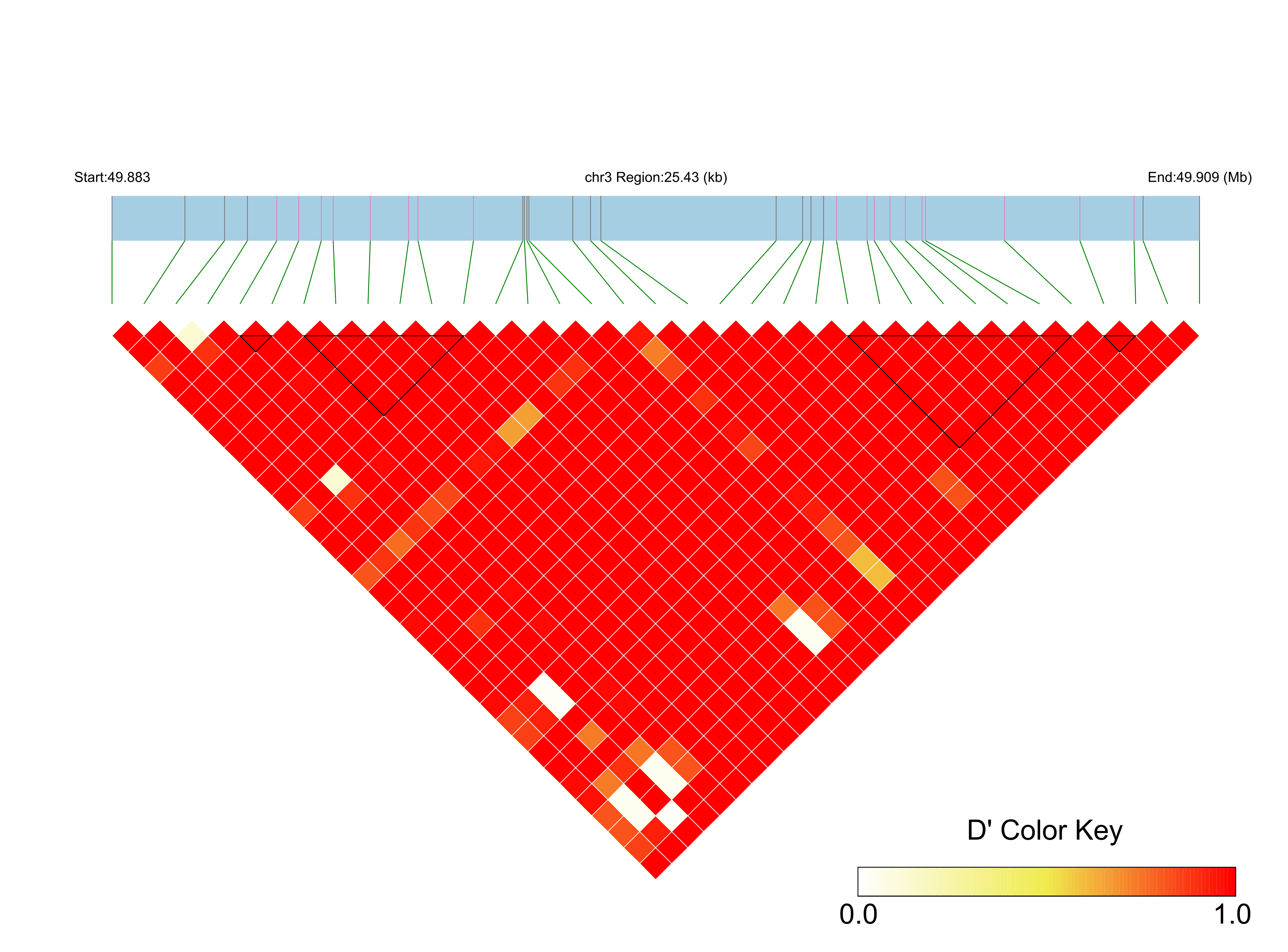 LD