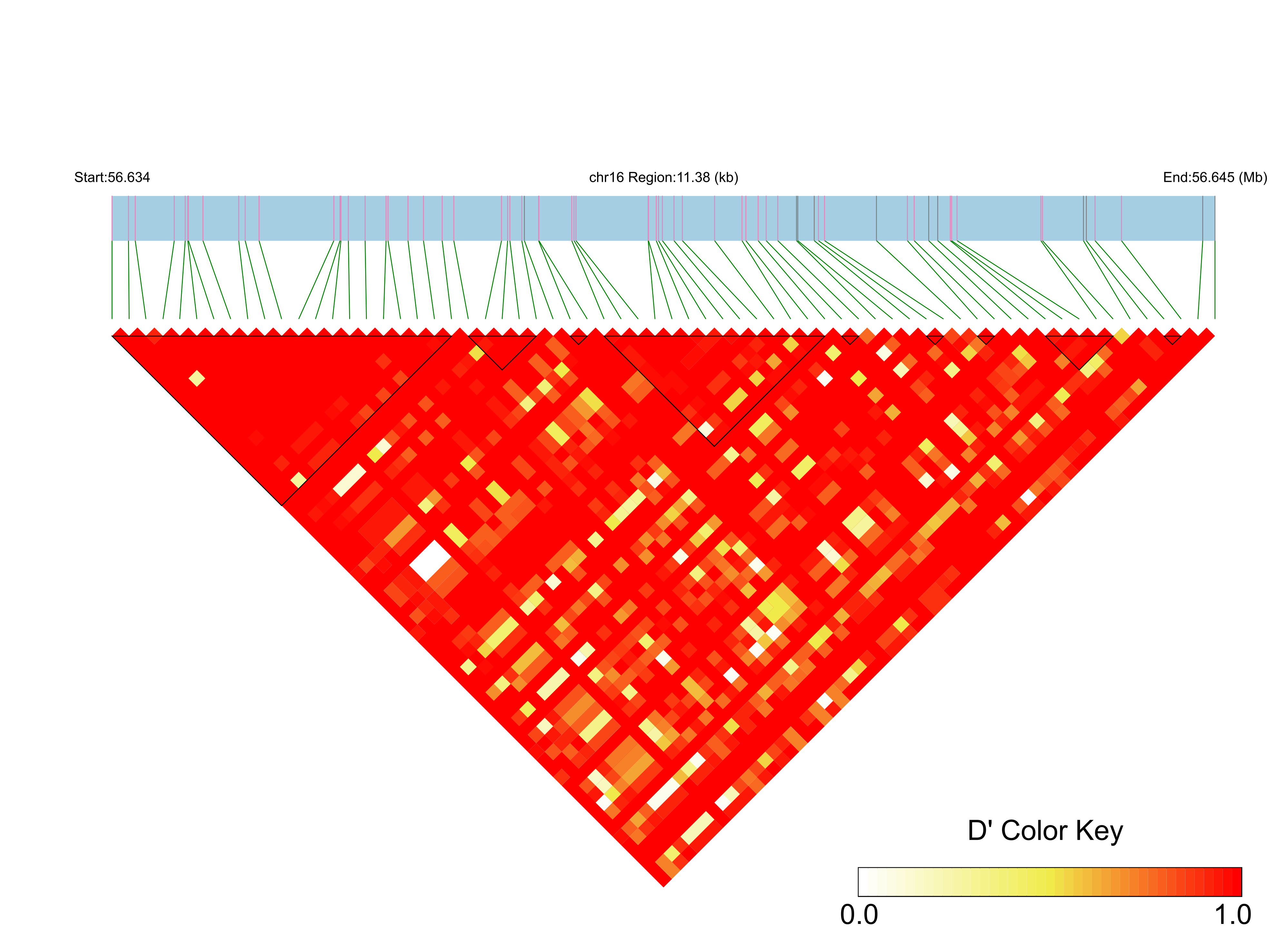 LD