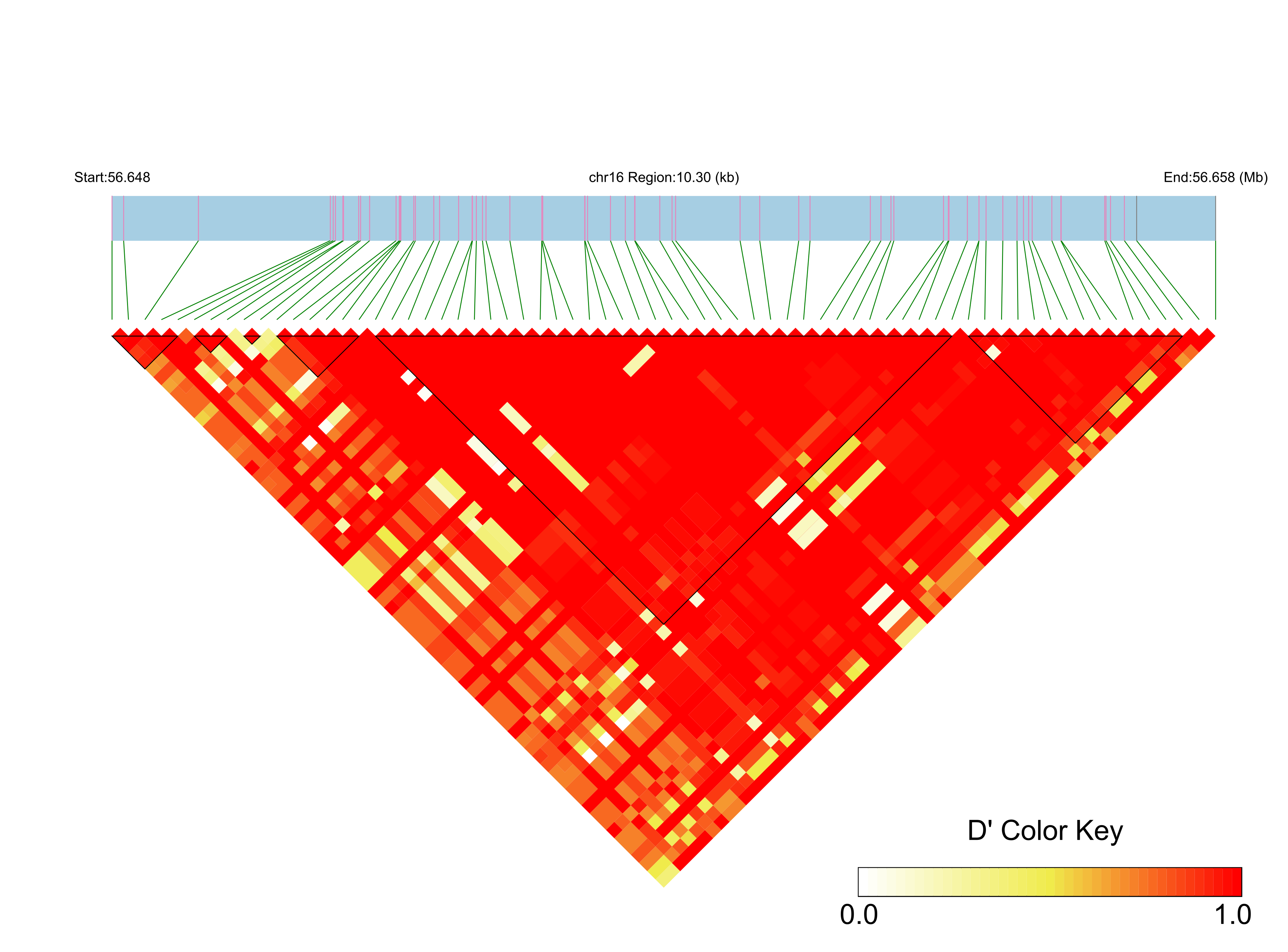 LD
