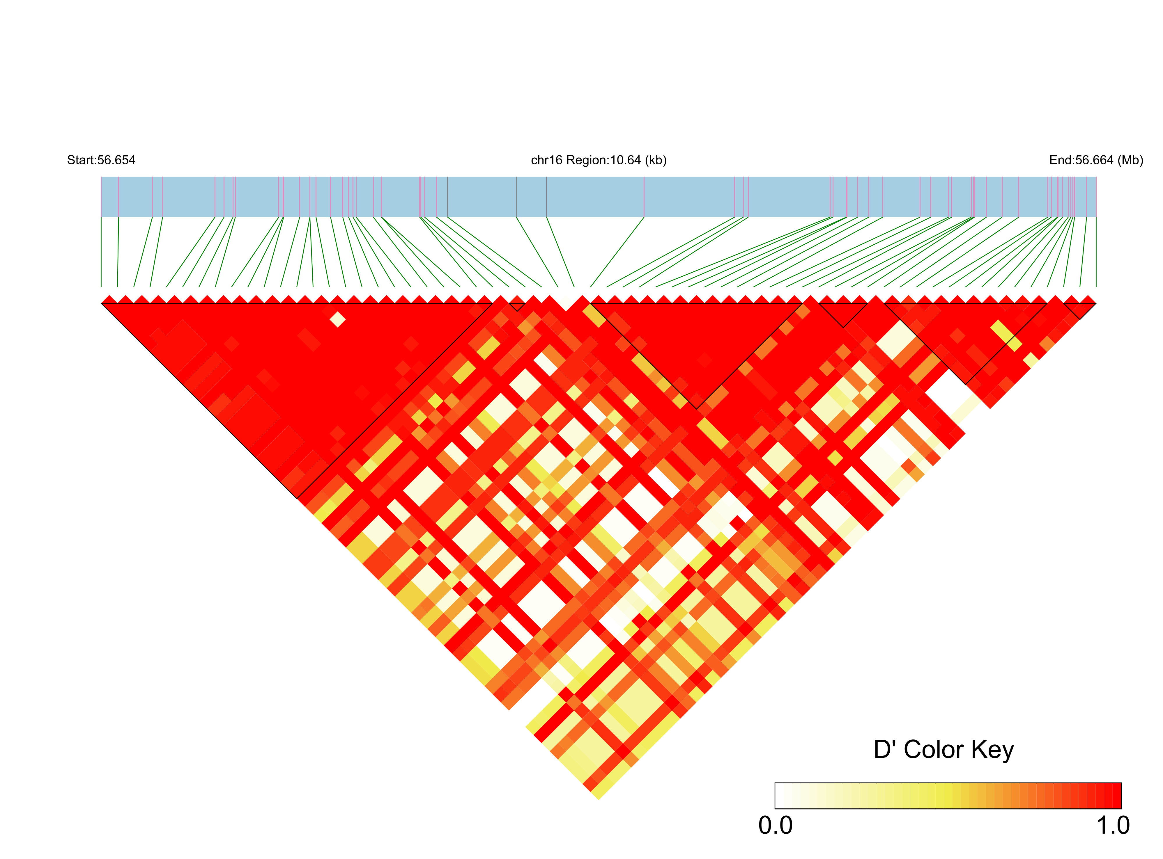 LD