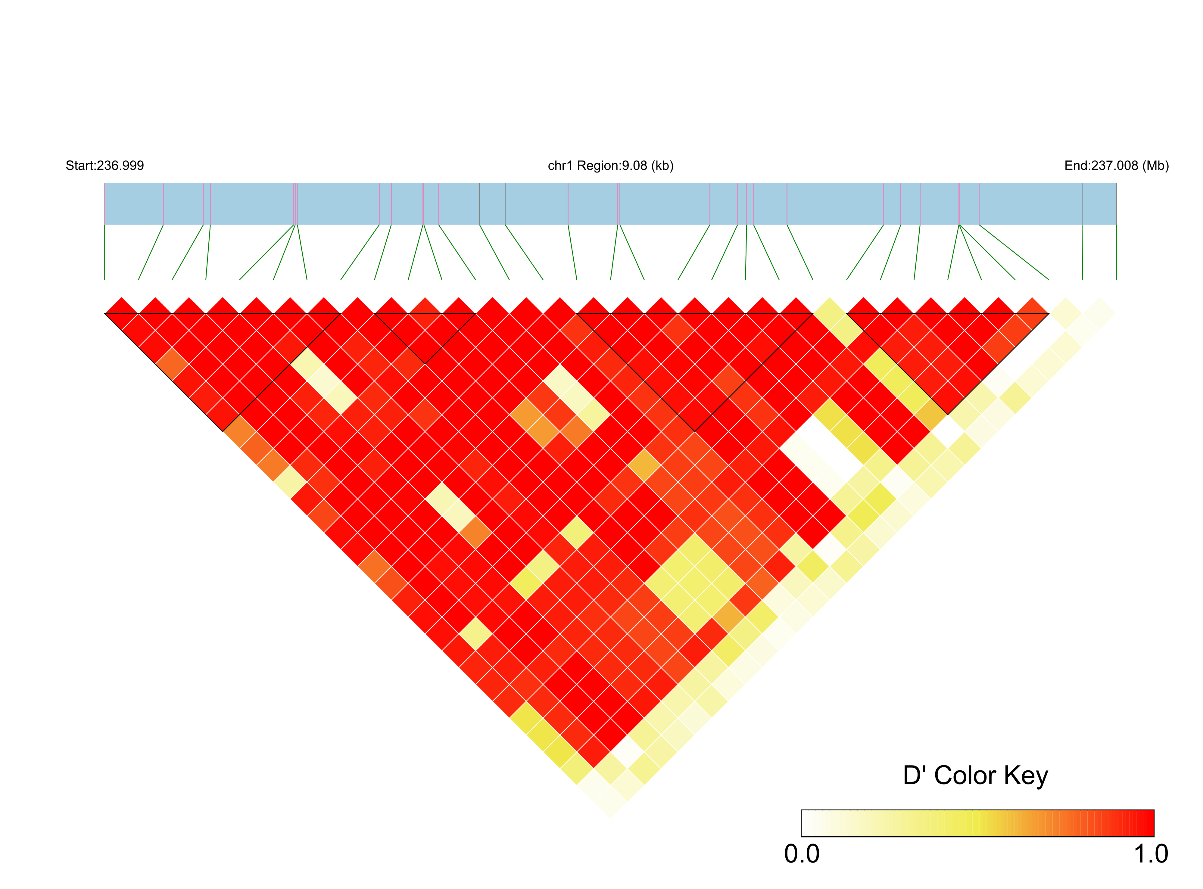 LD
