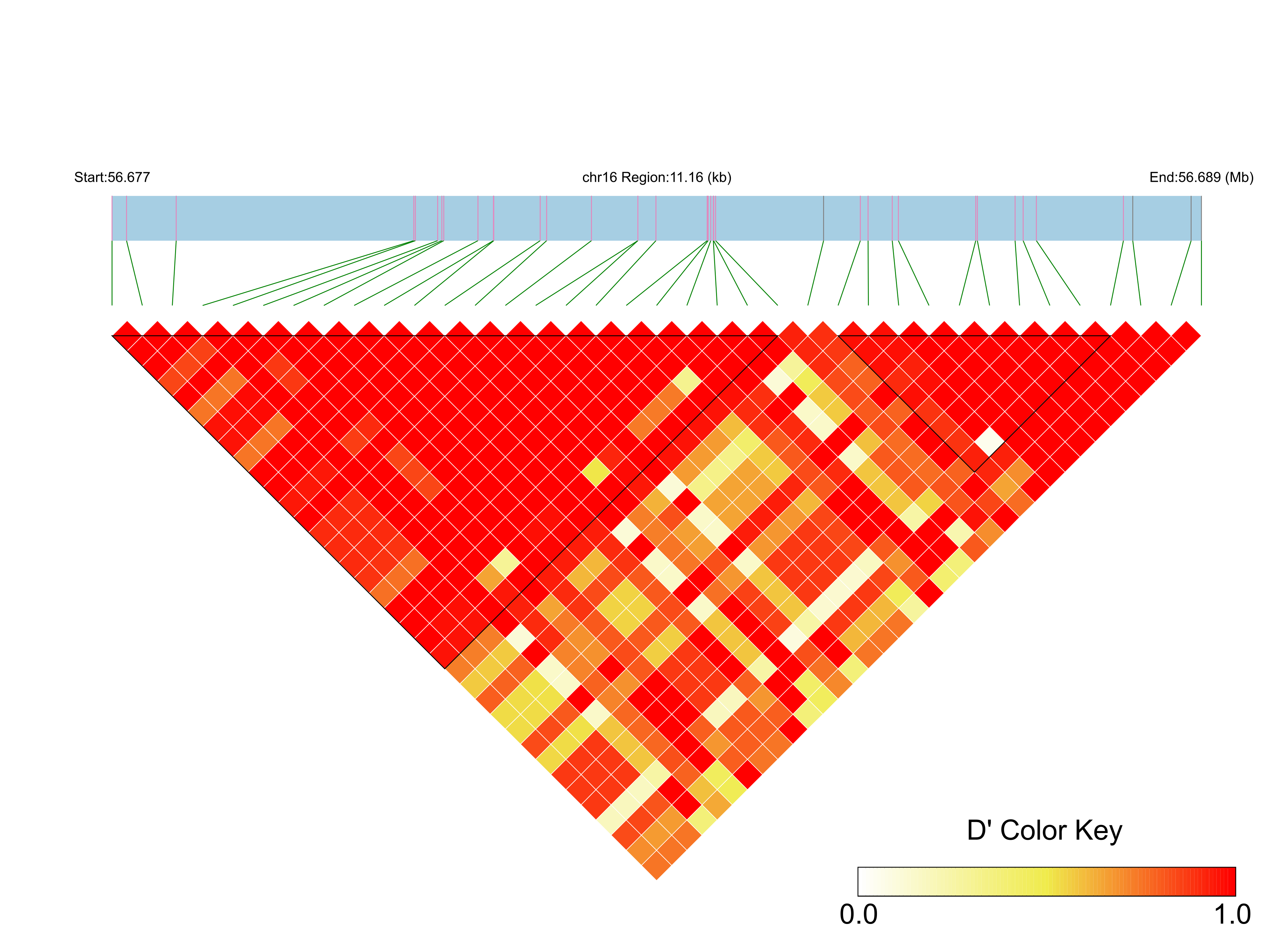LD