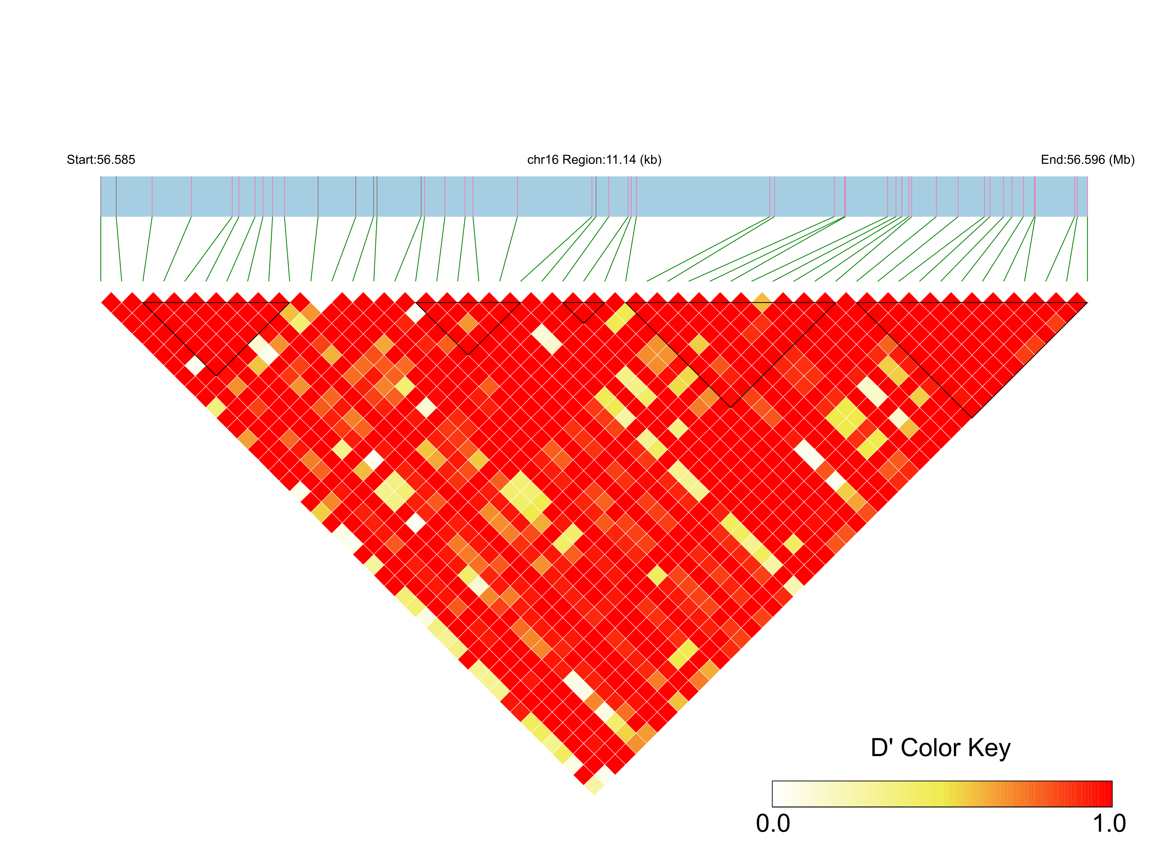 LD