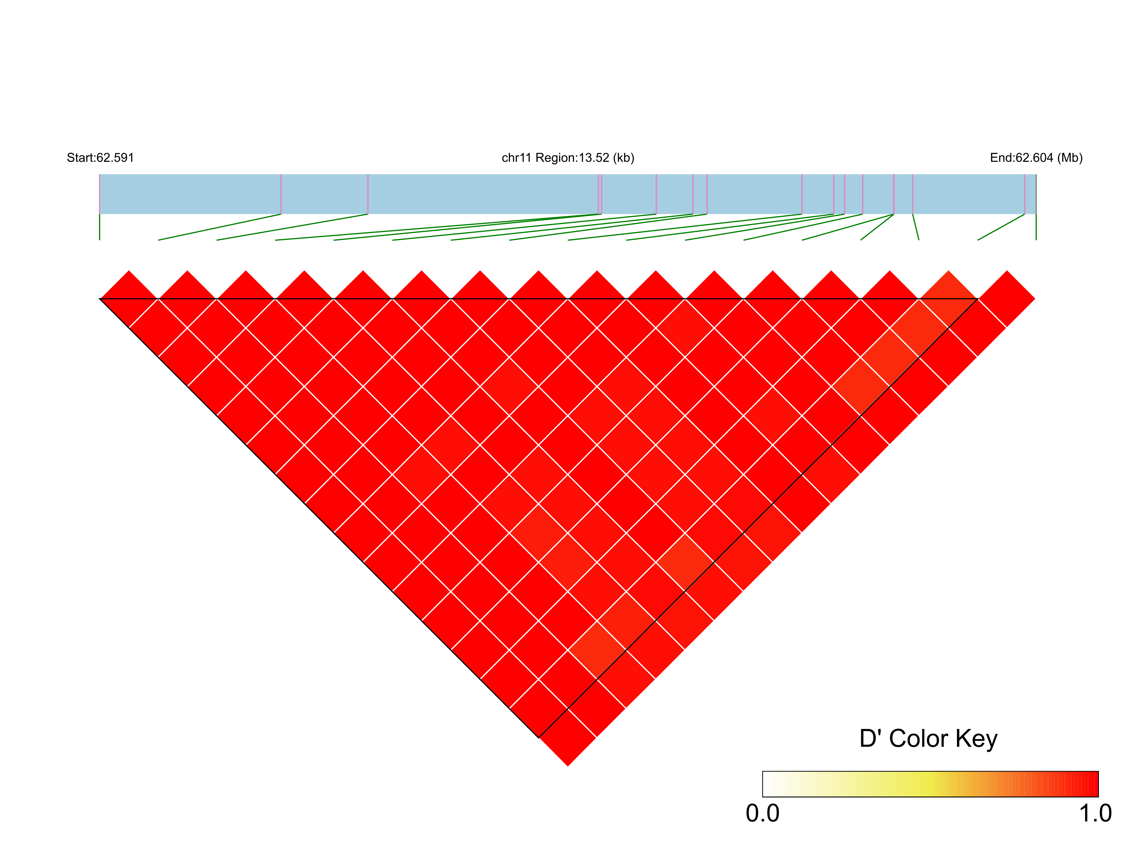 LD