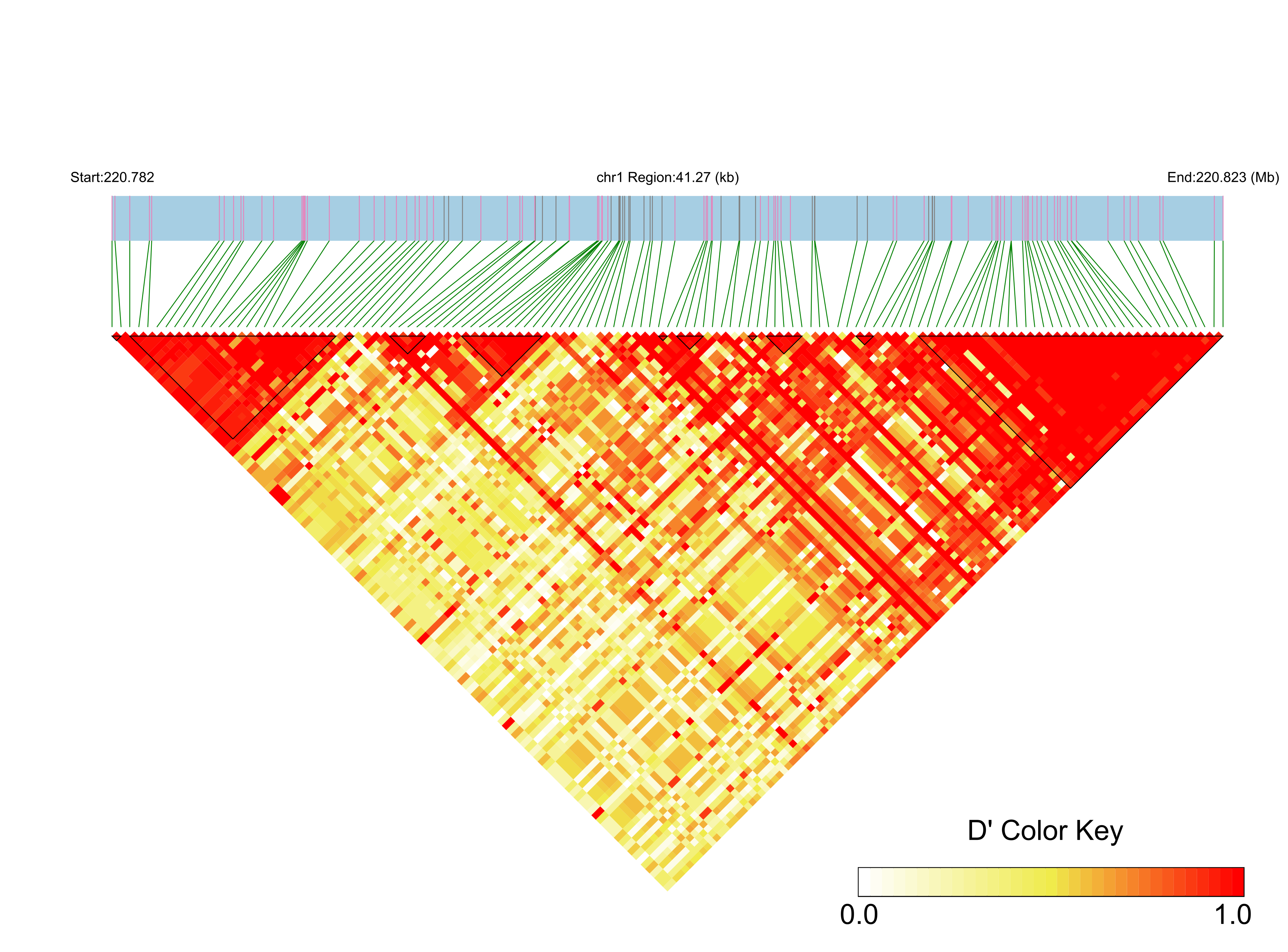 LD