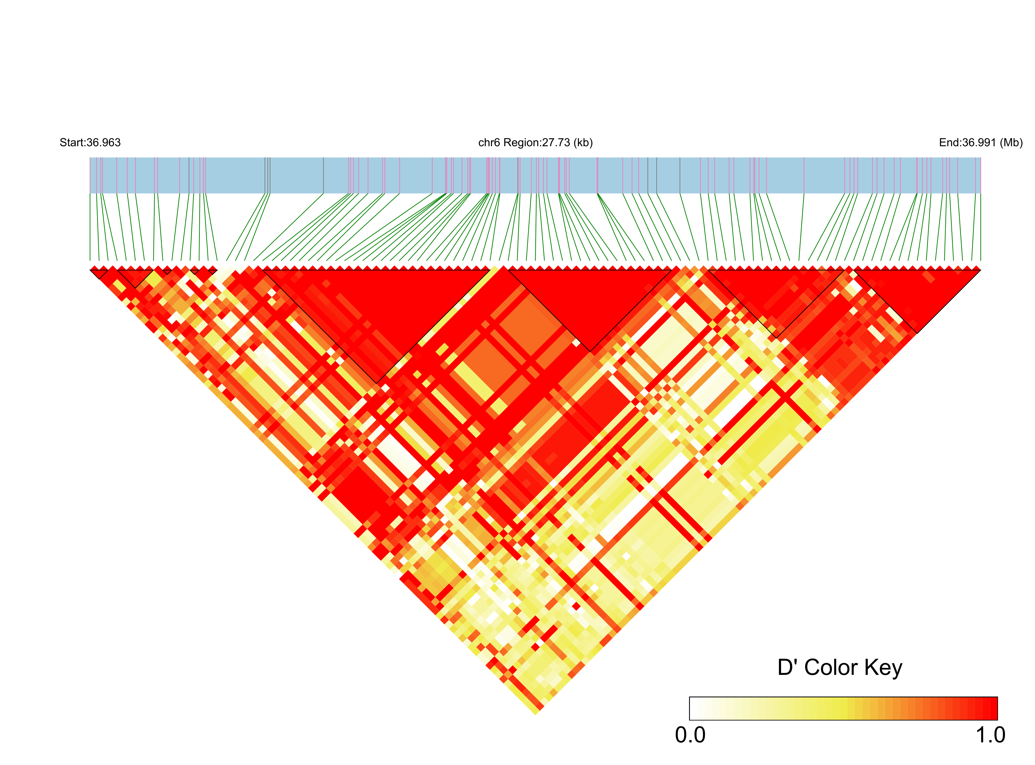 LD