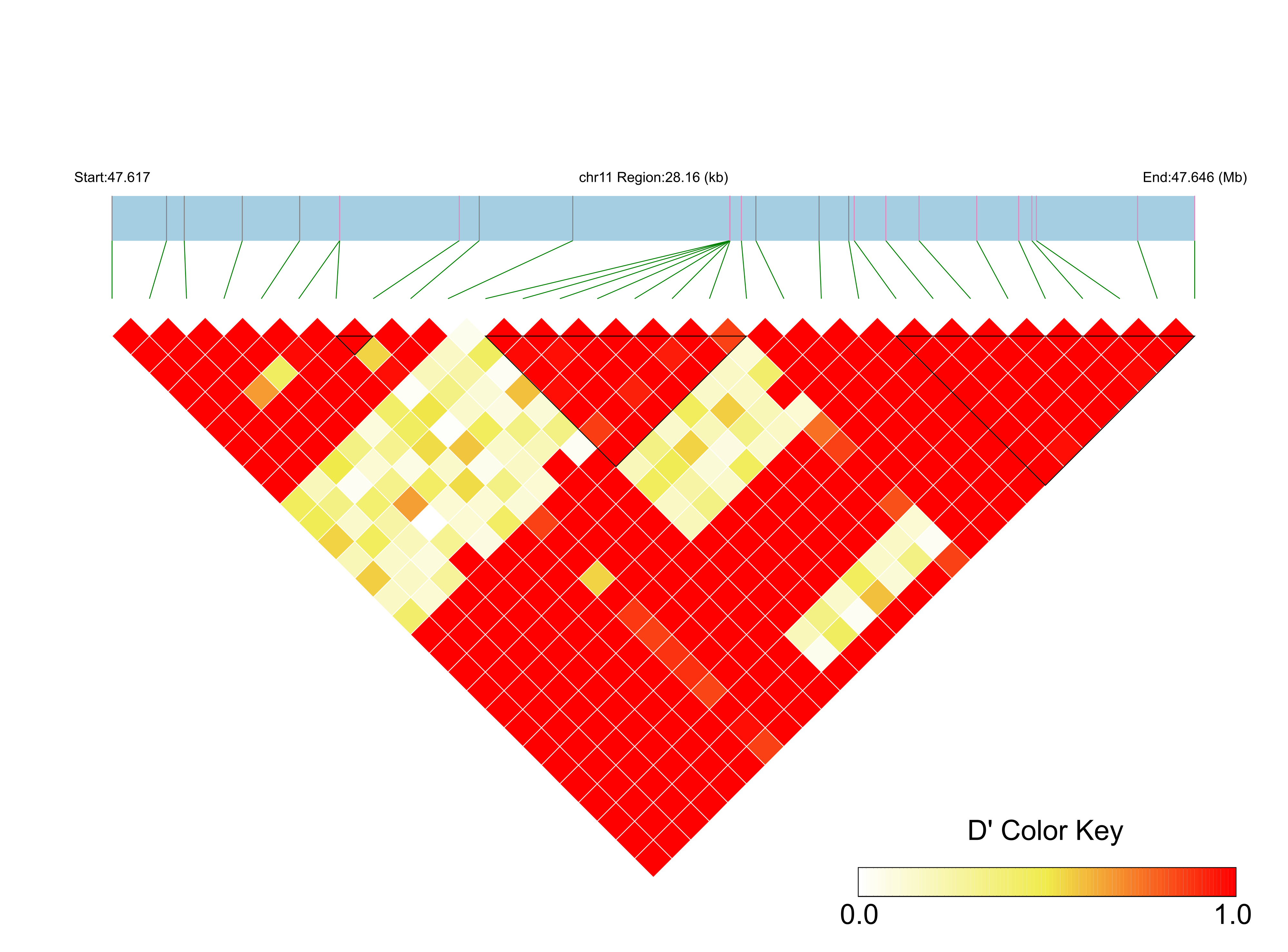LD
