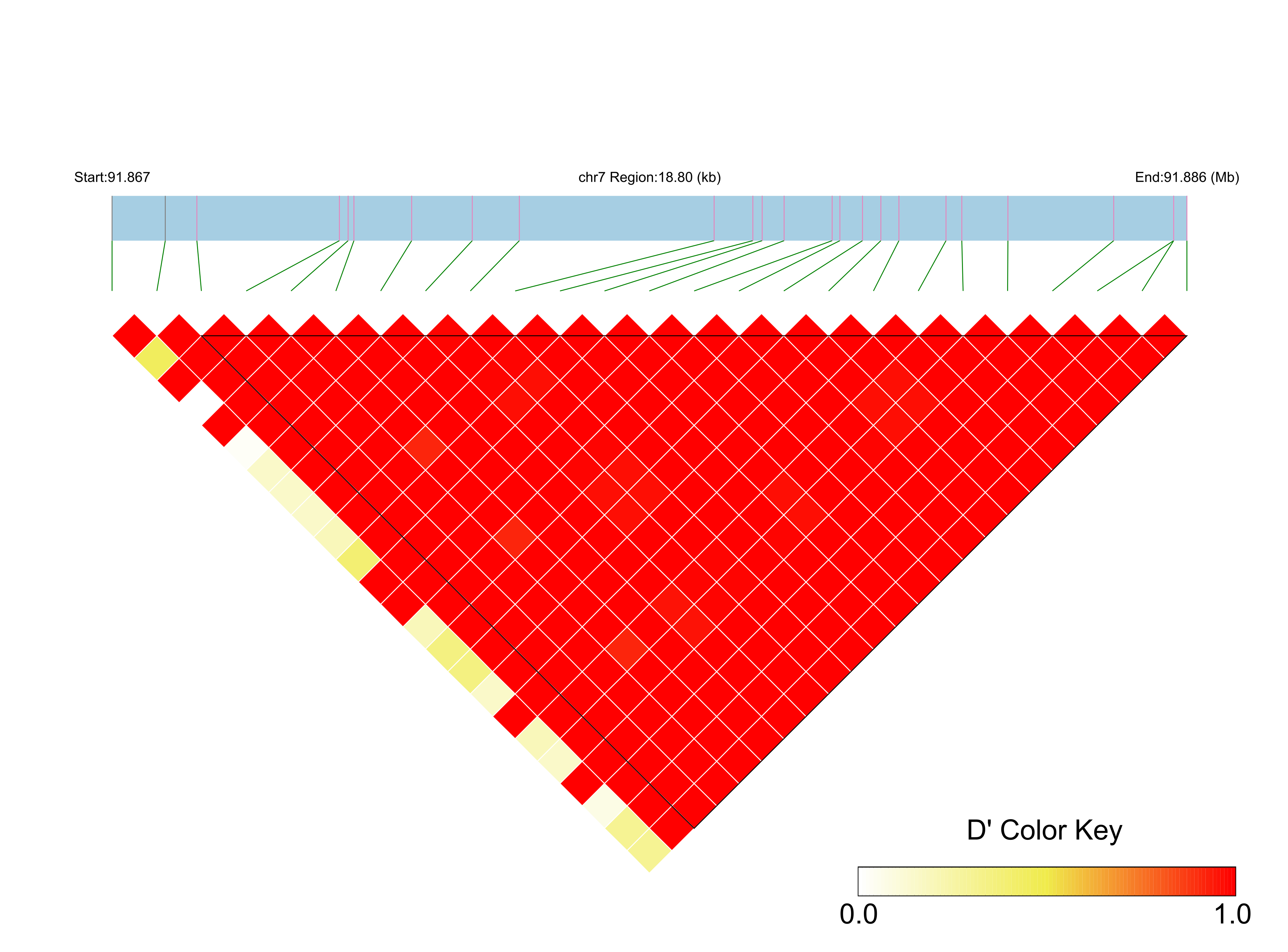 LD