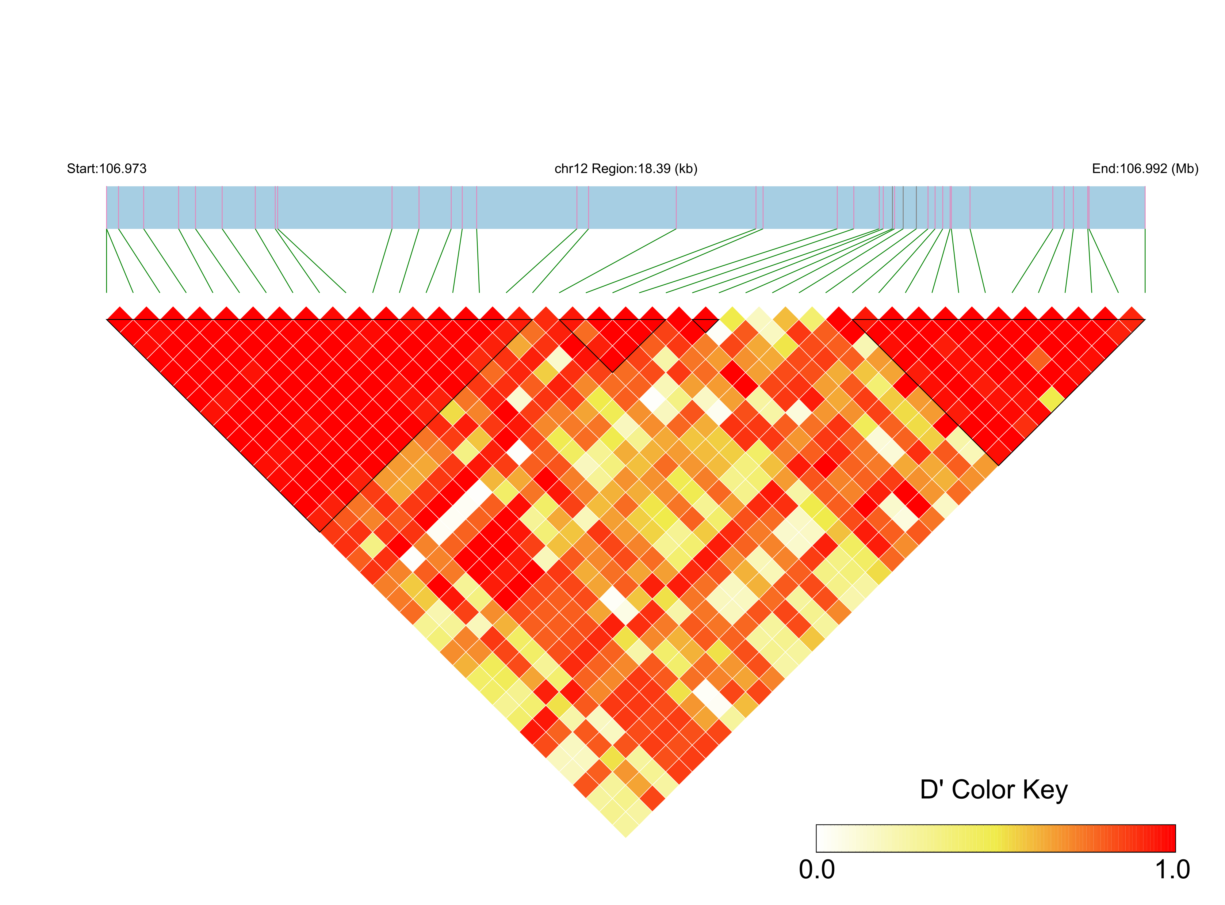LD
