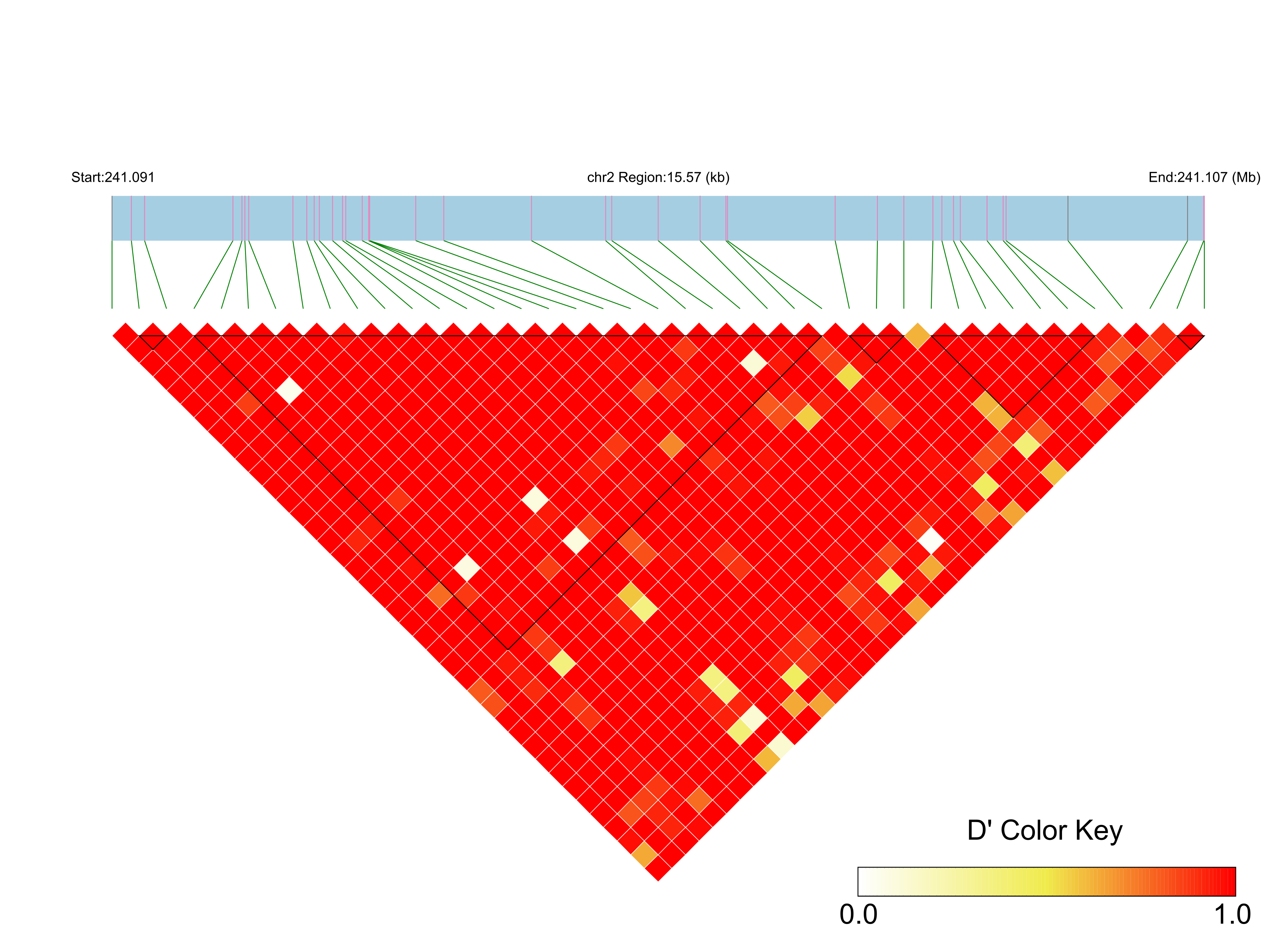 LD