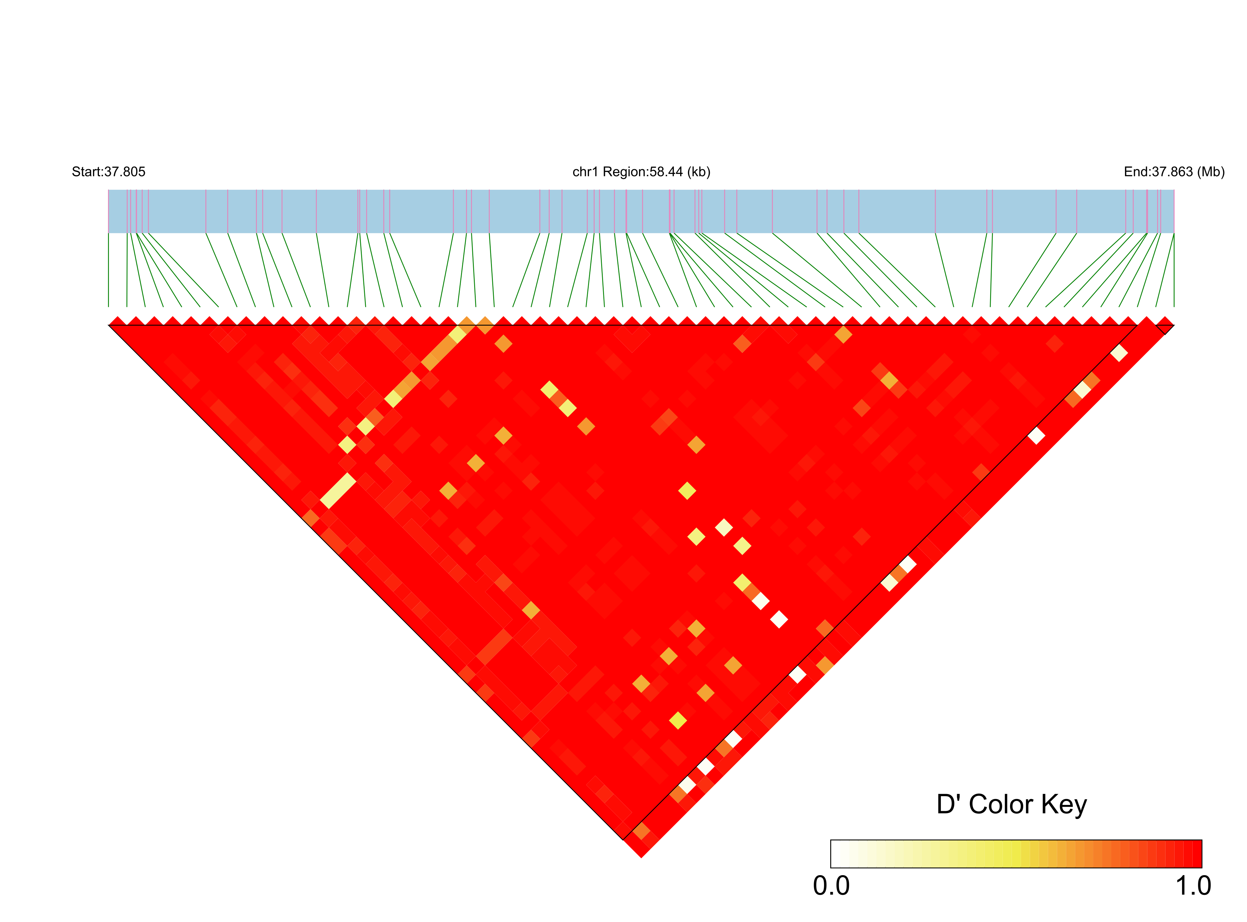 LD