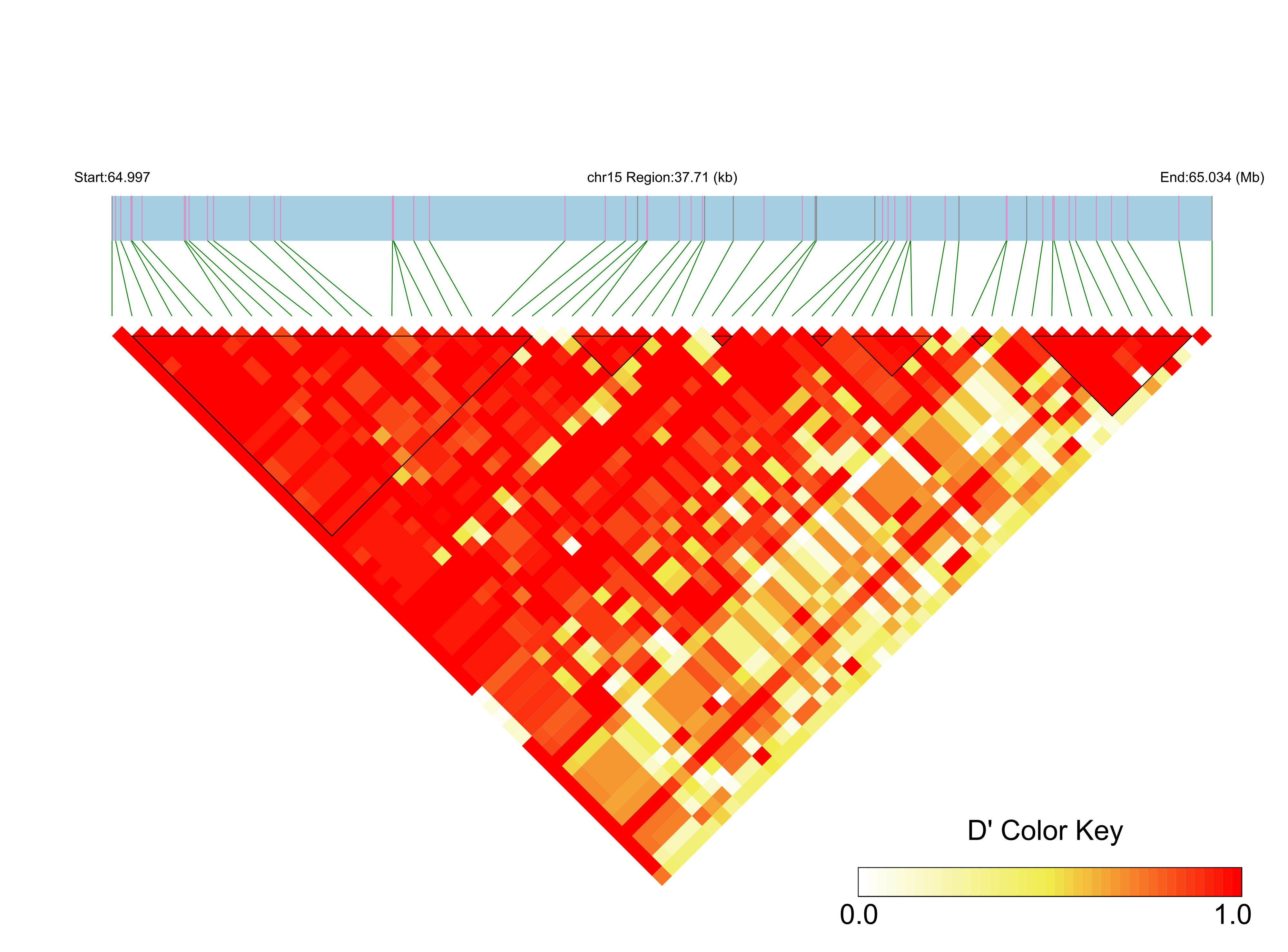 LD