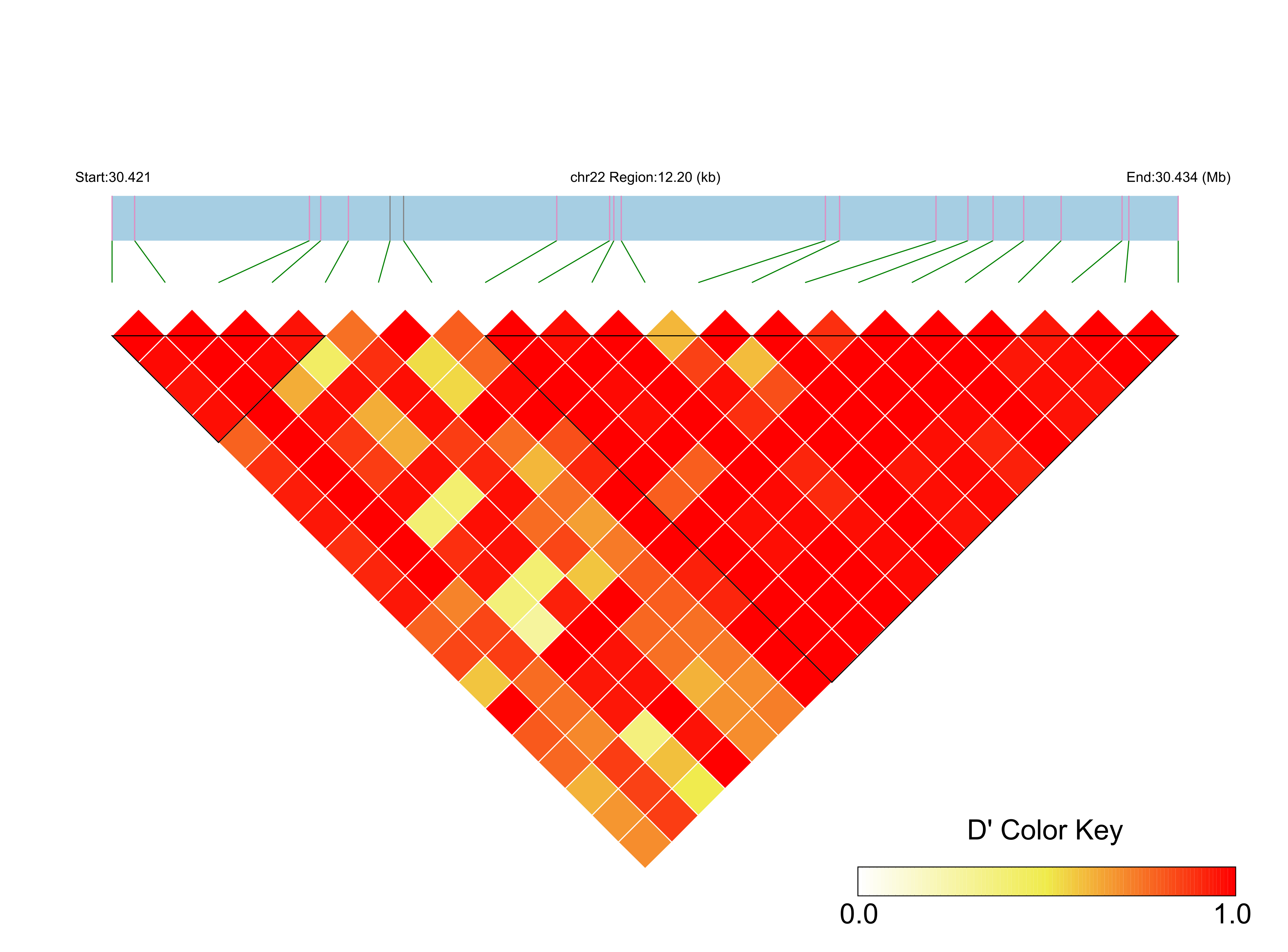 LD