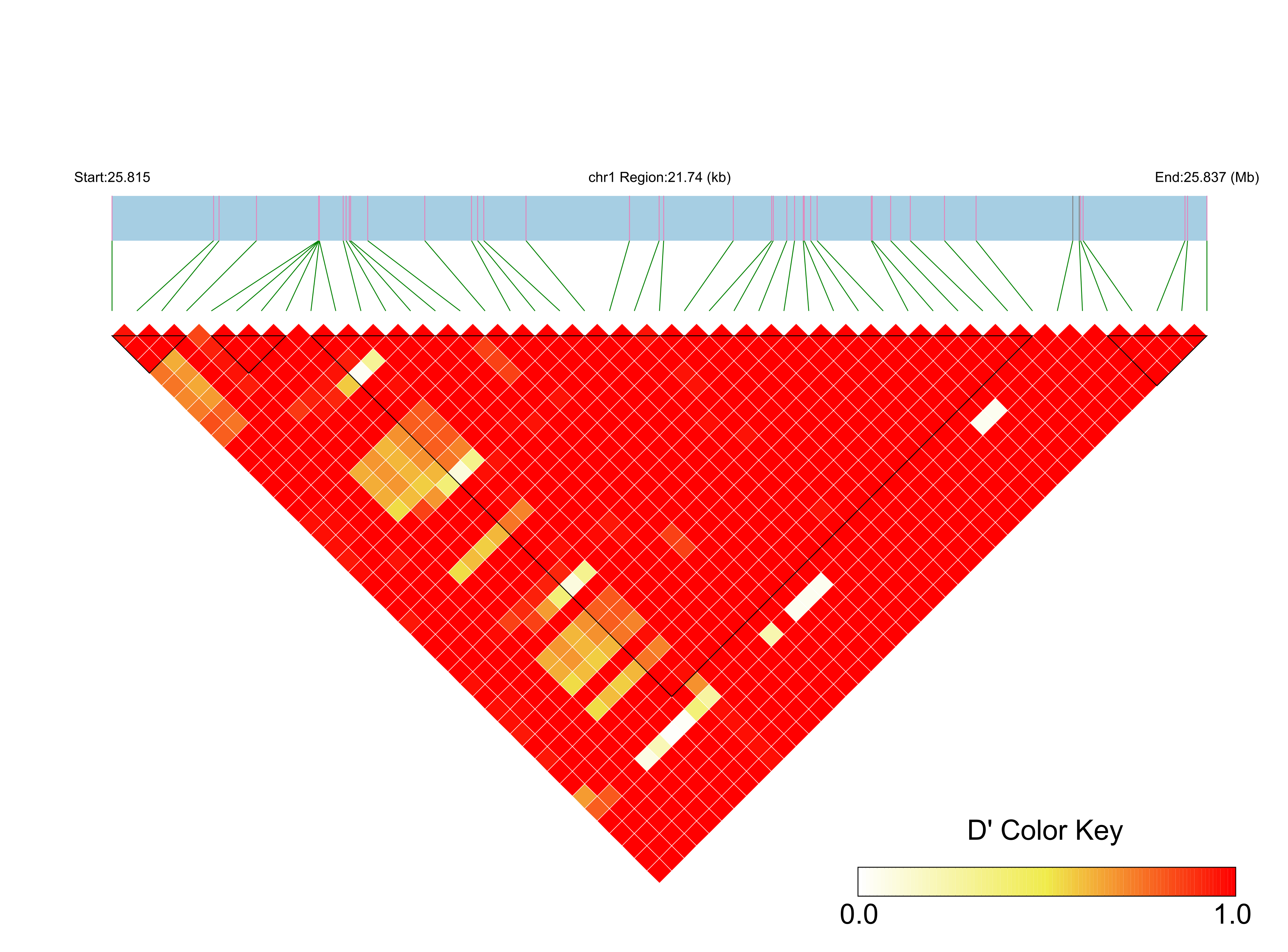 LD